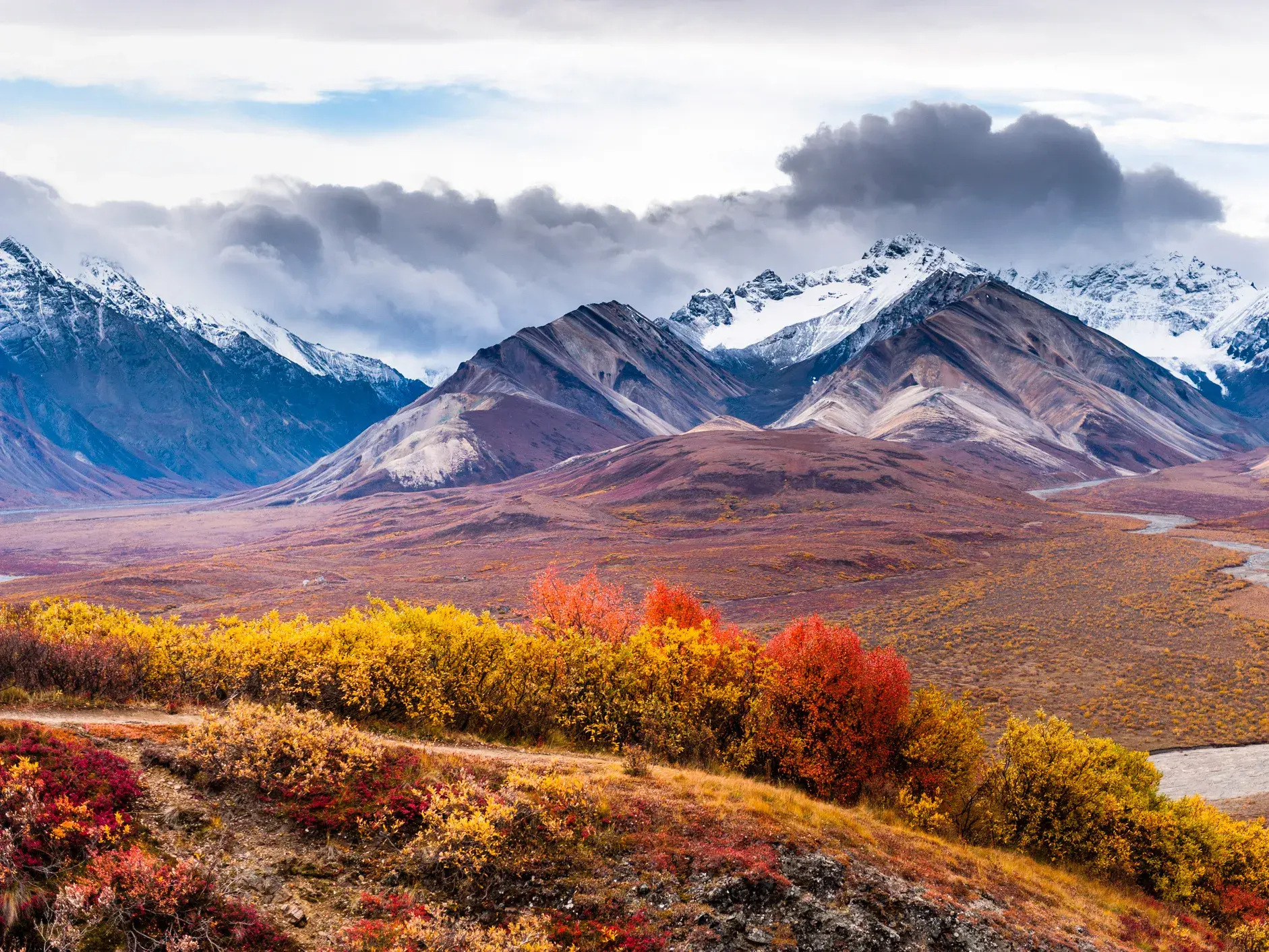 Farbenprächtige Herbsttundra im Denali-Nationalpark mit einem Flusslauf und der schneebedeckten Alaska Range im Hintergrund.