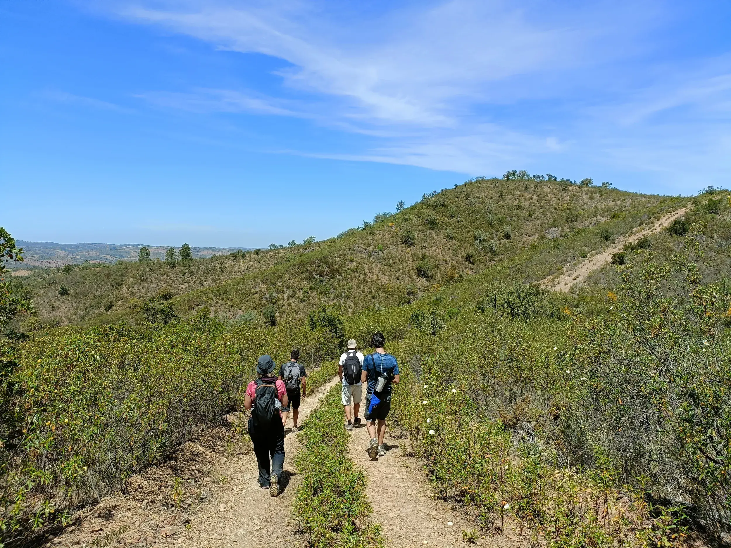 Eine kleine Wandergruppe mit Rucksäcken folgt einem Pfad auf der Via Algarviana durch die grünen Hügel im Hinterland der Algarve.