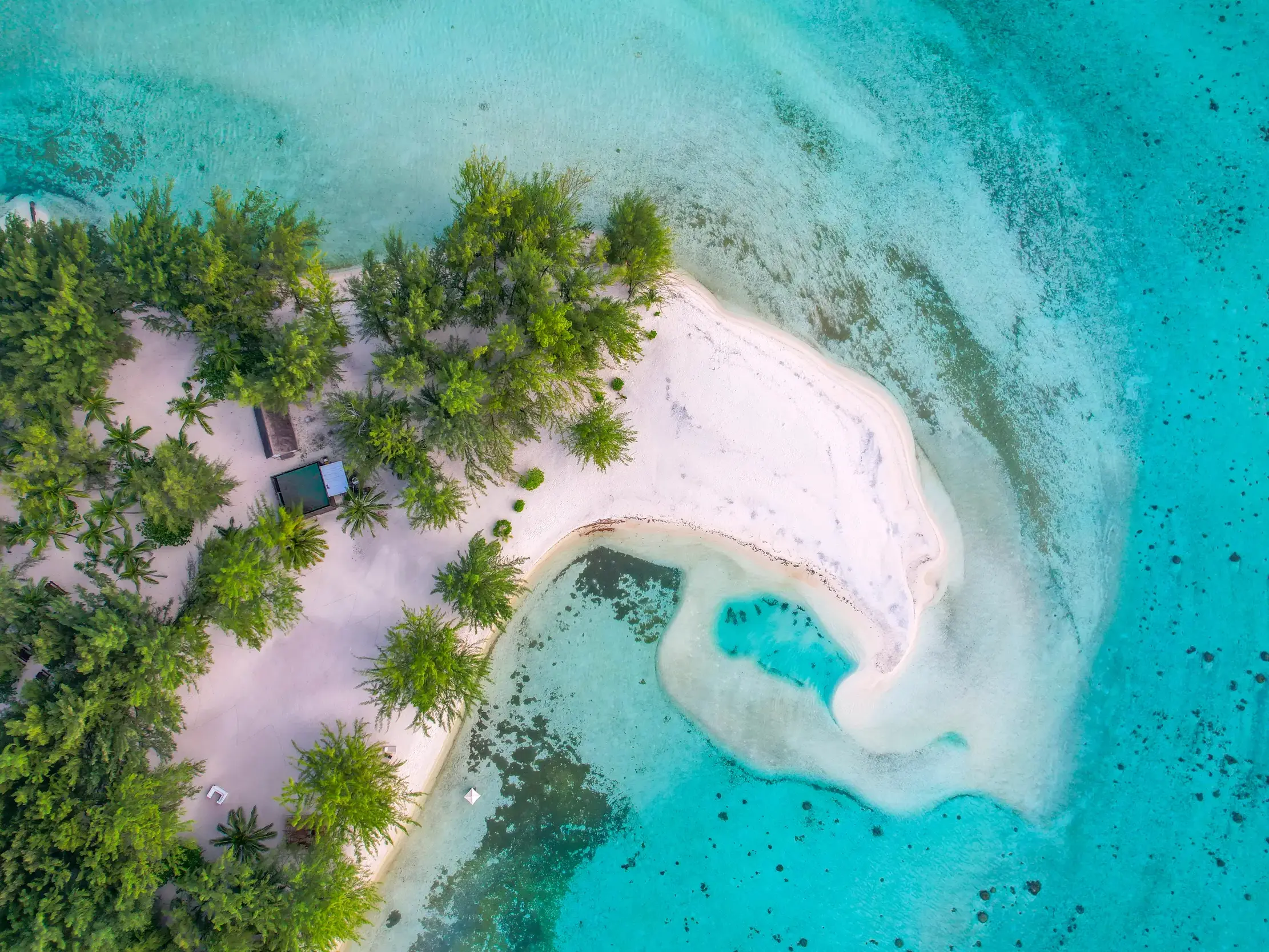 Luftaufnahme einer kleinen, palmenbewachsenen Südsee-Insel mit weißer Sandzunge, die in das türkisfarbene Meer ragt.