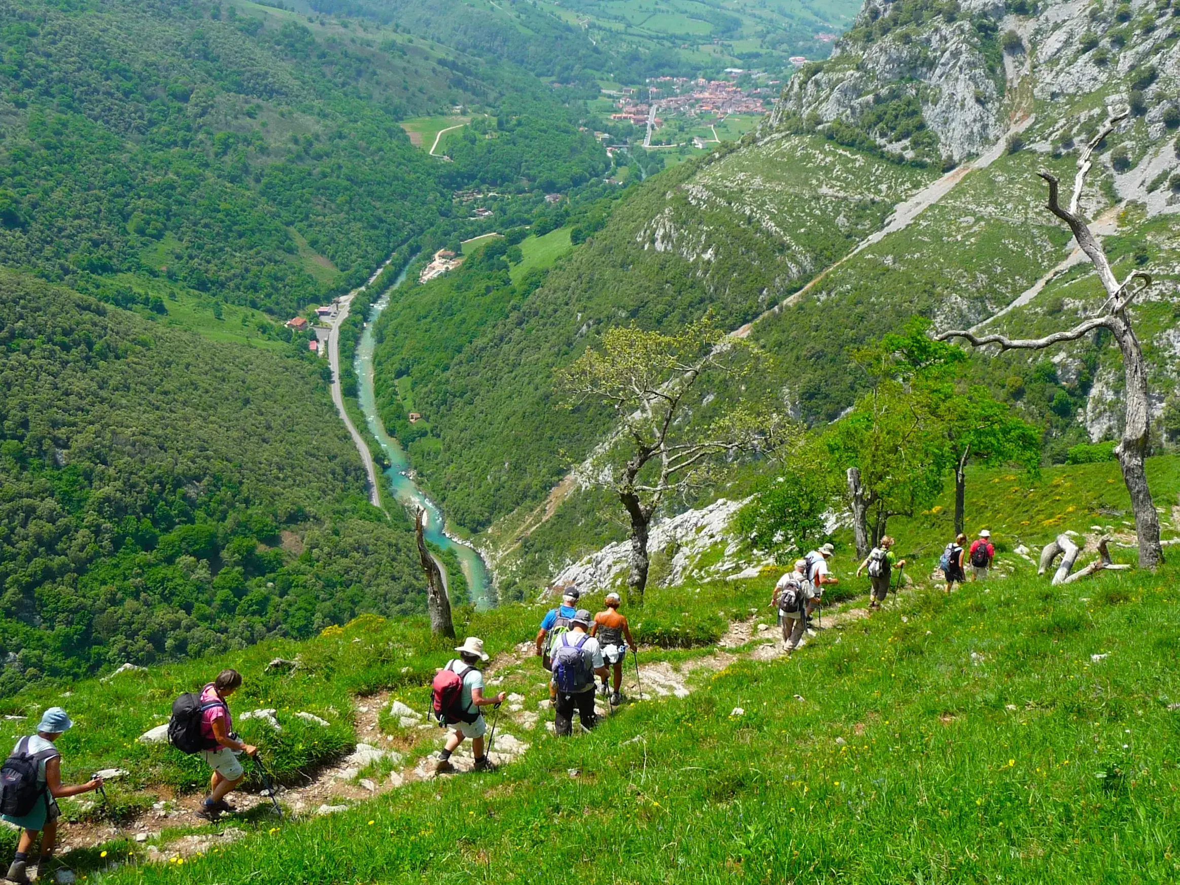 Eine Wandergruppe steigt auf einem schmalen Bergpfad ab, mit weitem Blick über ein grünes Tal in den Picos de Europa, Spanien.