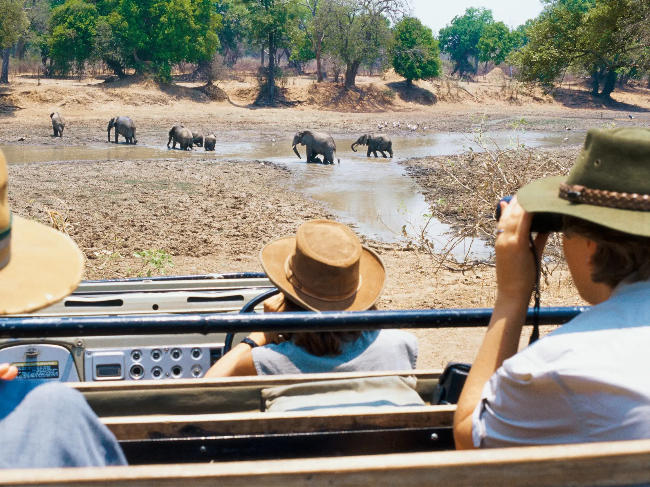 Kleingruppenreise in Südafrika: Teilnehmer einer Safari beobachten eine Elefantenfamilie am Wasserloch im Krügerpark.