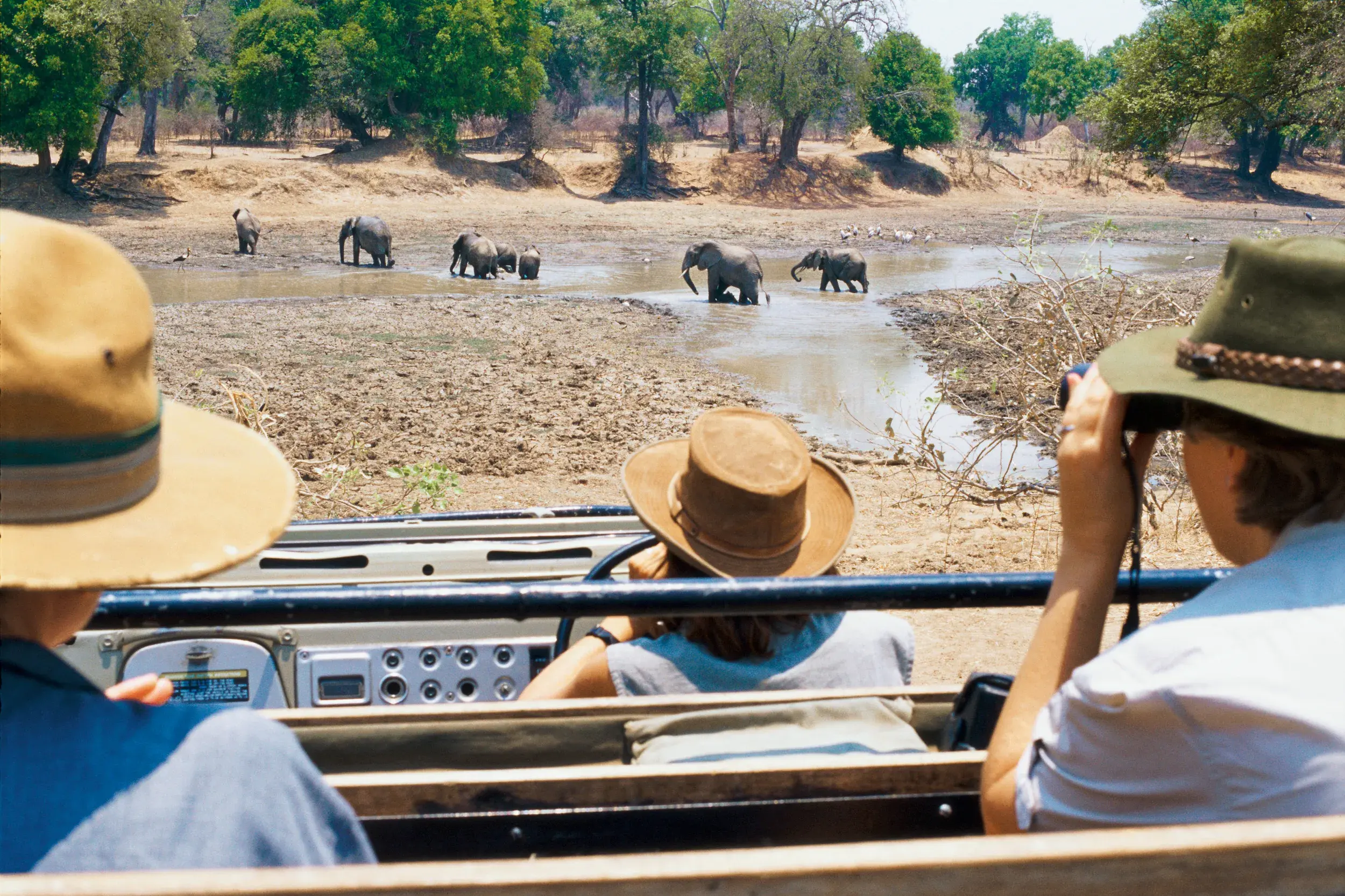 Kleingruppenreise in Südafrika: Teilnehmer einer Safari beobachten eine Elefantenfamilie am Wasserloch im Krügerpark.
