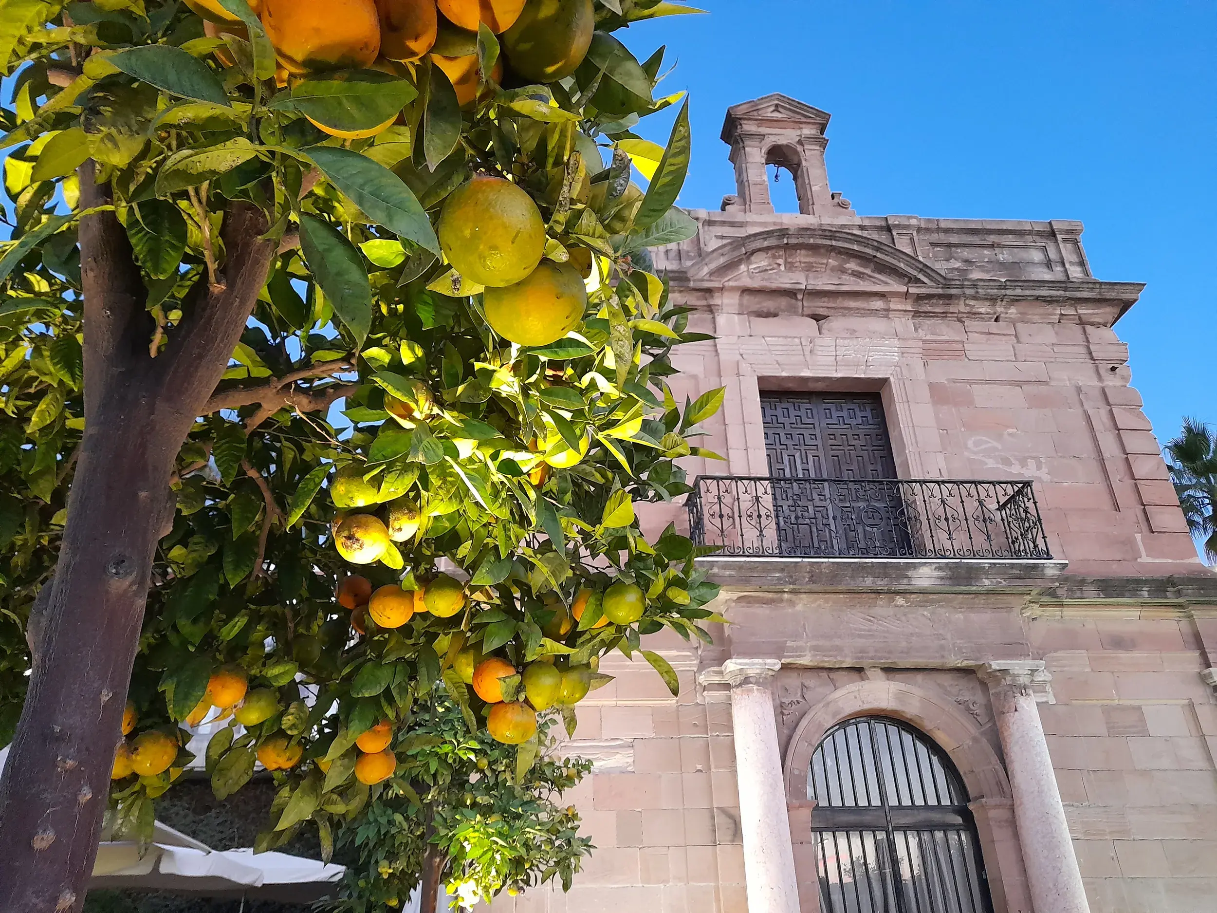 Ein Orangenbaum mit reifen Früchten im Vordergrund, dahinter ein historisches Steingebäude in Rodalquilar, Andalusien.