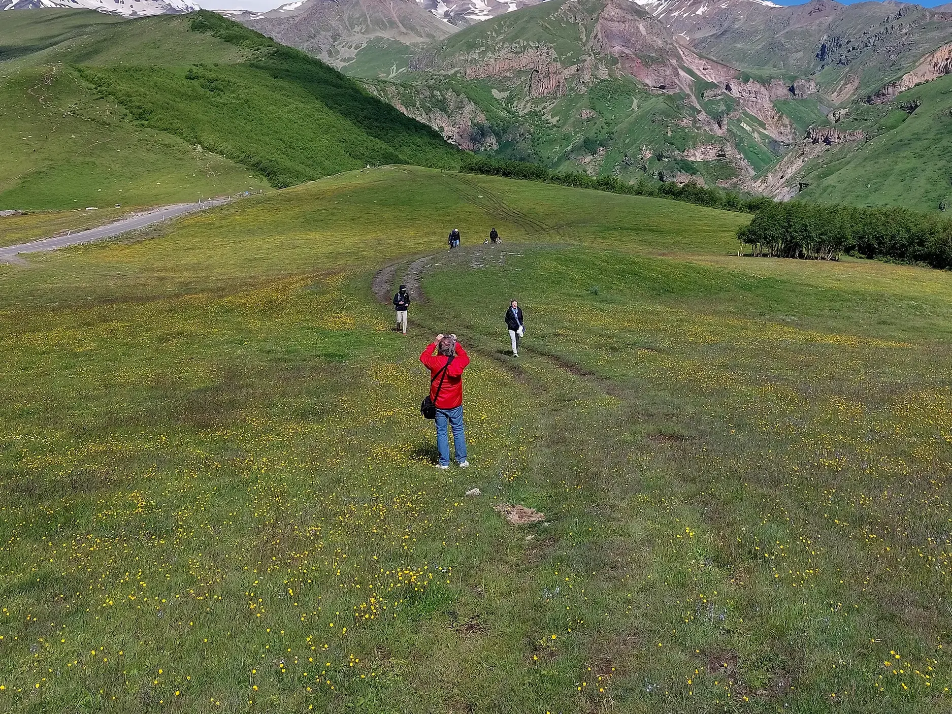 Eine kleine Reisegruppe während einer Studienreise in Georgien, spazierend durch eine weite, grüne Hügellandschaft im Kaukasus.