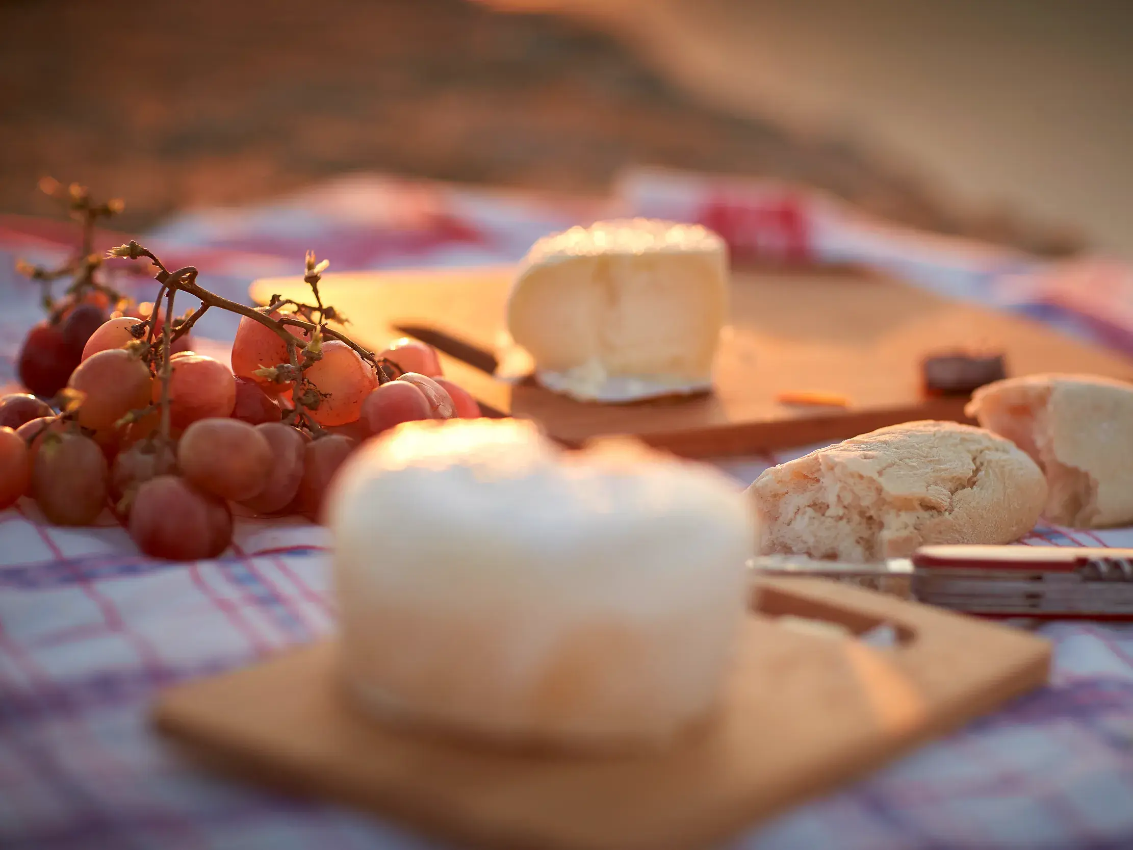 Ein rustikales Picknick mit Käse, Brot und Weintrauben auf einer Decke in der Abendsonne auf der Blumeninsel Madeira.