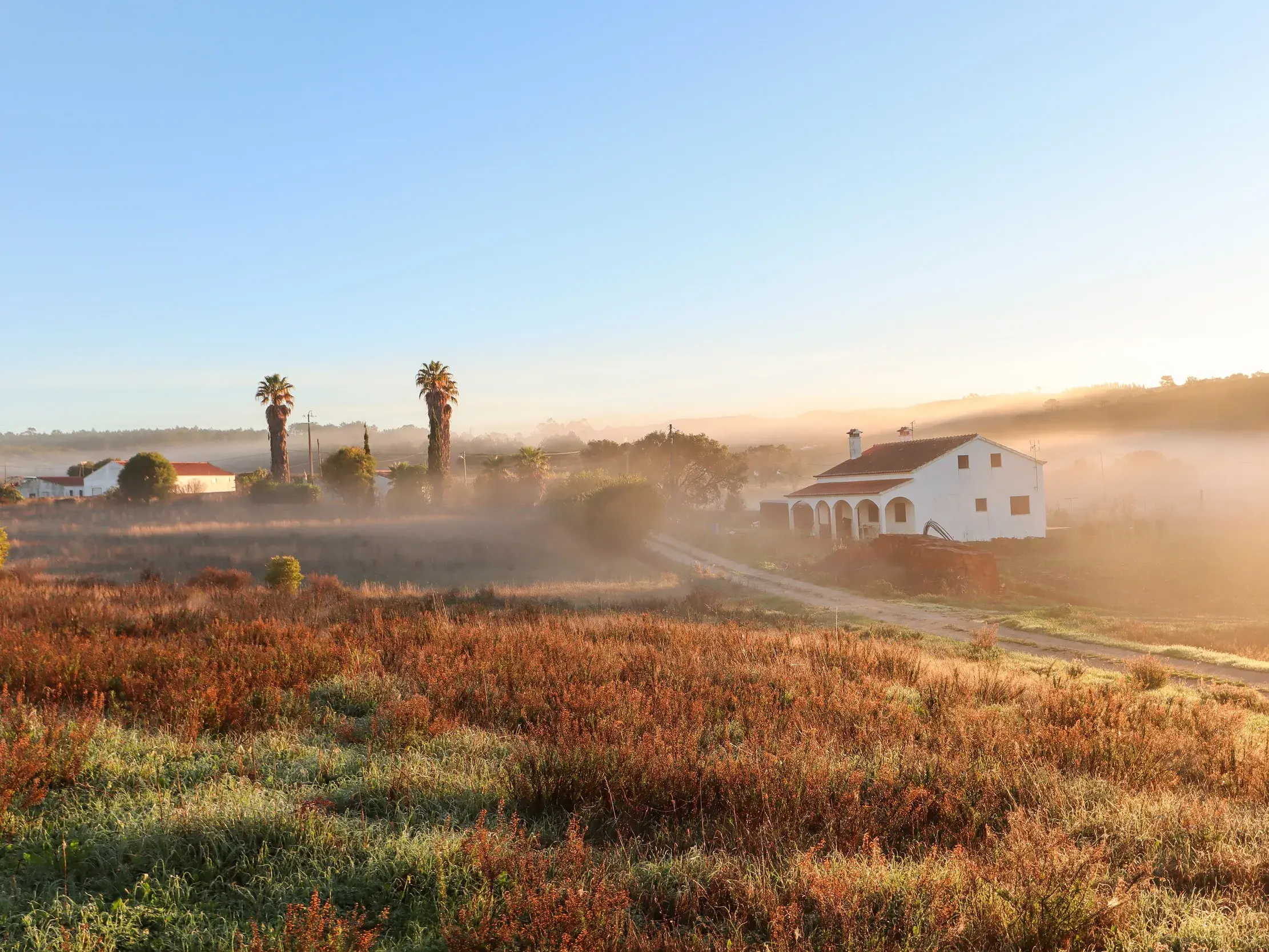 Ein weißes Gästehaus in Portugal ragt aus dem Morgennebel im goldenen Licht der aufgehenden Sonne an der Costa Vicentina.