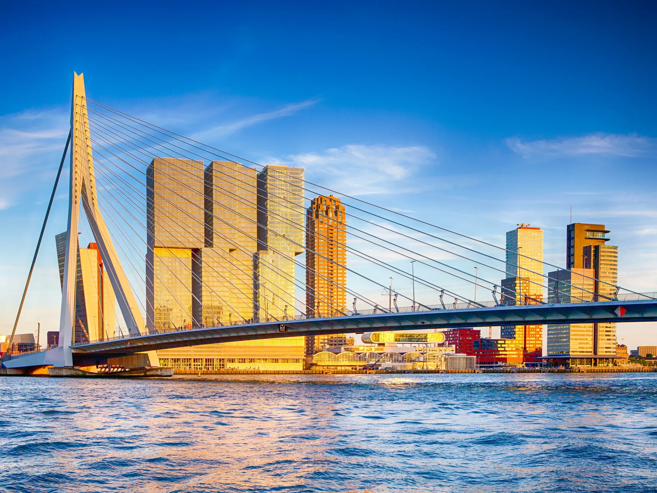 Moderne Architektur in Rotterdam: Die berühmte Erasmusbrücke und die Hochhaus-Skyline an der Maas bei Sonnenuntergang.