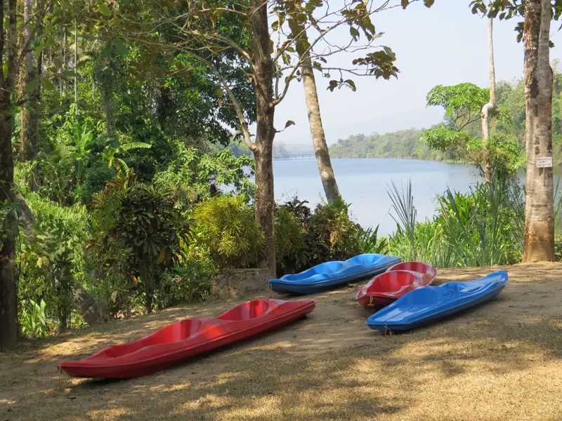 Bunte Kajaks am Ufer des Periyar-Flusses in Thattekkad, umgeben von der üppigen, grünen Naturlandschaft Keralas.