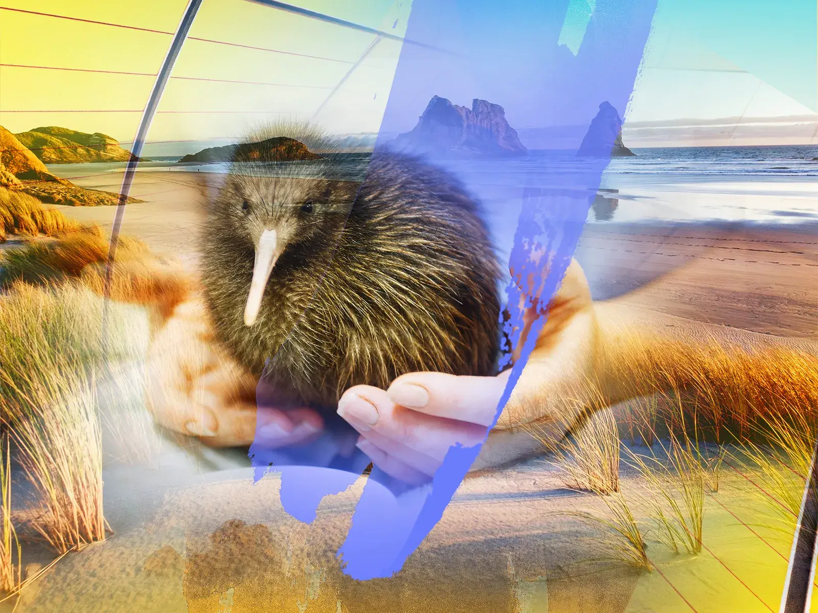 Künstlerische Collage einer Neuseeland-Rundreise: ein Kiwi in Händen vor einer malerischen Küste mit Felsformationen.