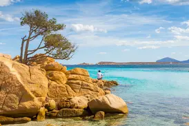 Goldbraune Felsen und eine Pinie an einer Bucht mit türkisblauem Wasser auf Sardinien, ein Mann genießt die Aussicht.