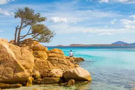 Goldbraune Felsen und eine Pinie an einer Bucht mit türkisblauem Wasser auf Sardinien, ein Mann genießt die Aussicht.