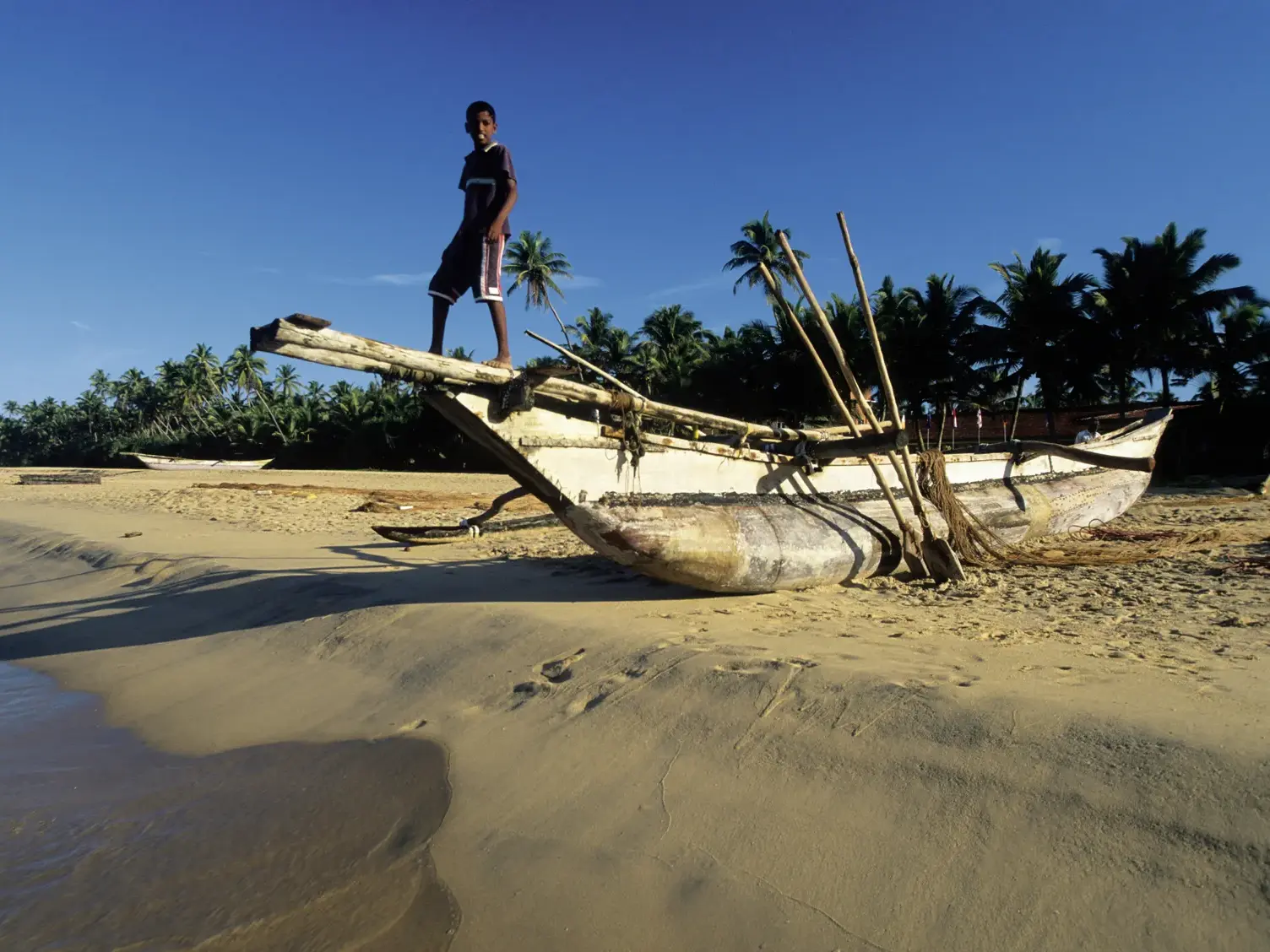Einheimischer Junge steht auf einem traditionellen Auslegerkanu an einem Sandstrand an der Küste Sri Lankas bei Sonnenschein.