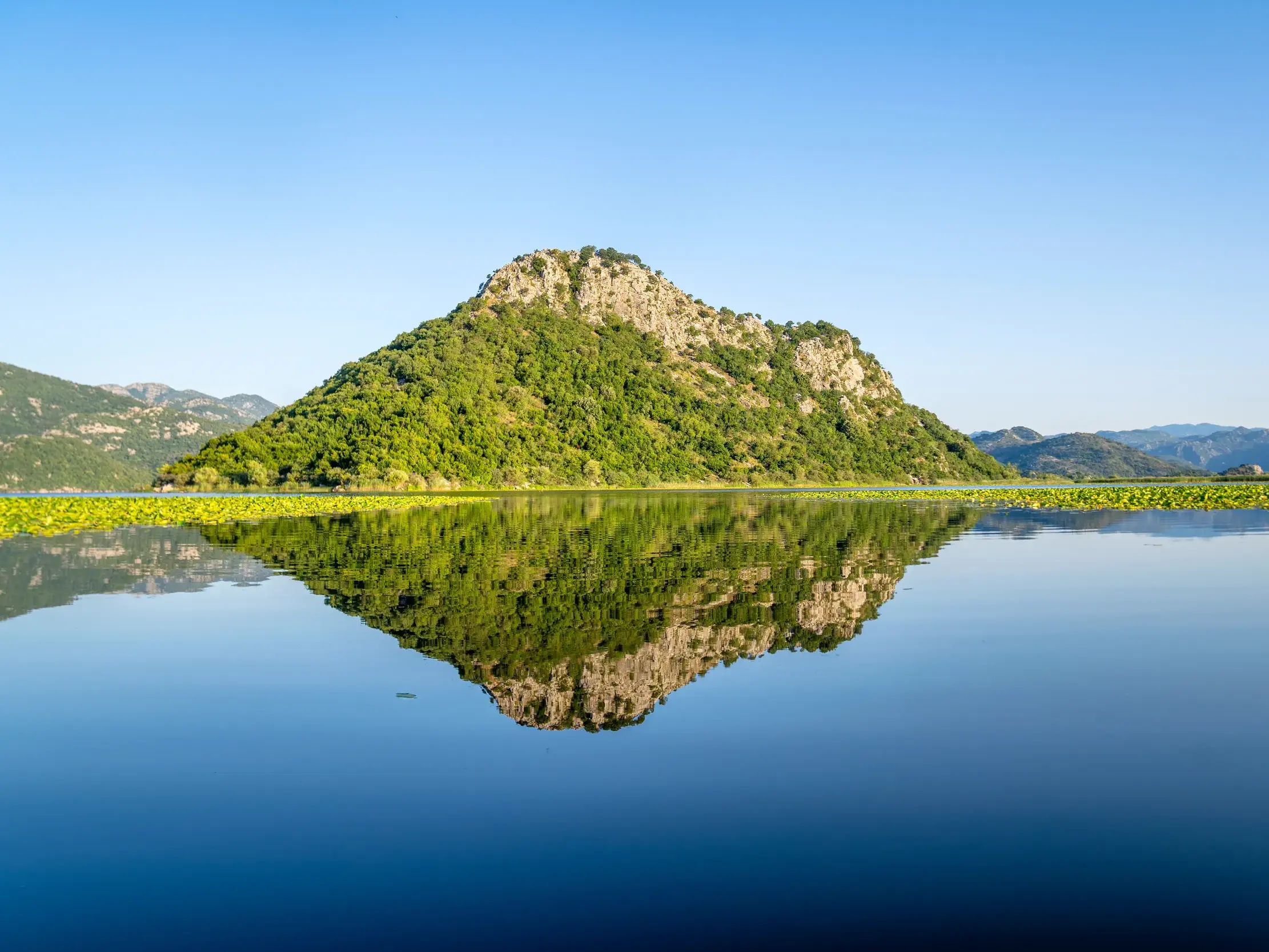 Ein bewachsener, felsiger Berg spiegelt sich im tiefblauen, ruhigen Wasser des Skutarisee in Montenegro.