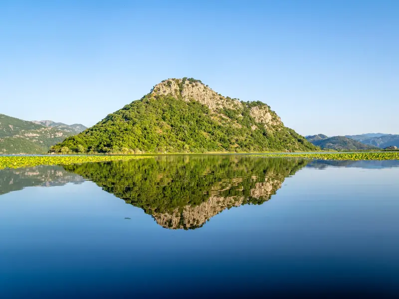 Ein bewachsener, felsiger Berg spiegelt sich im tiefblauen, ruhigen Wasser des Skutarisee in Montenegro.