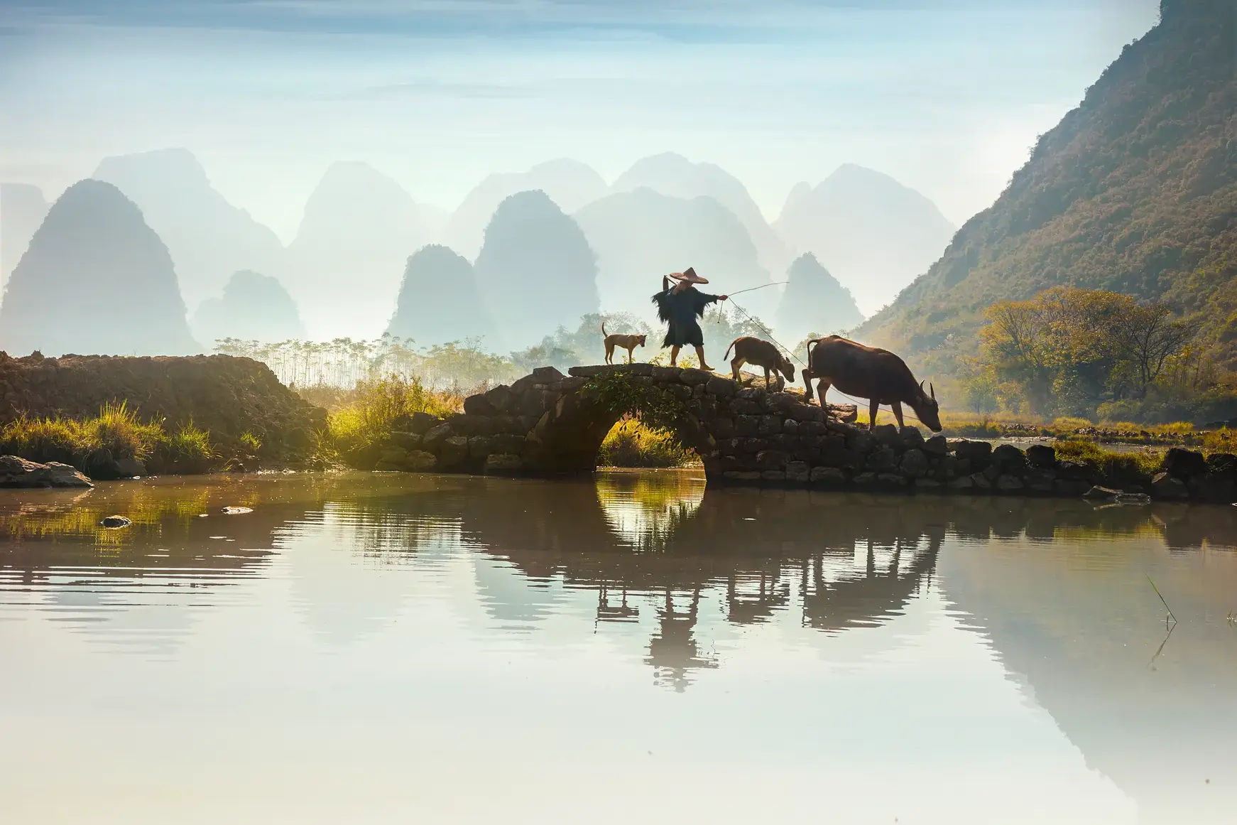 Einheimischer führt Wasserbüffel über eine Steinbrücke, im Hintergrund die neblige Karstlandschaft am Li-Fluss in China.