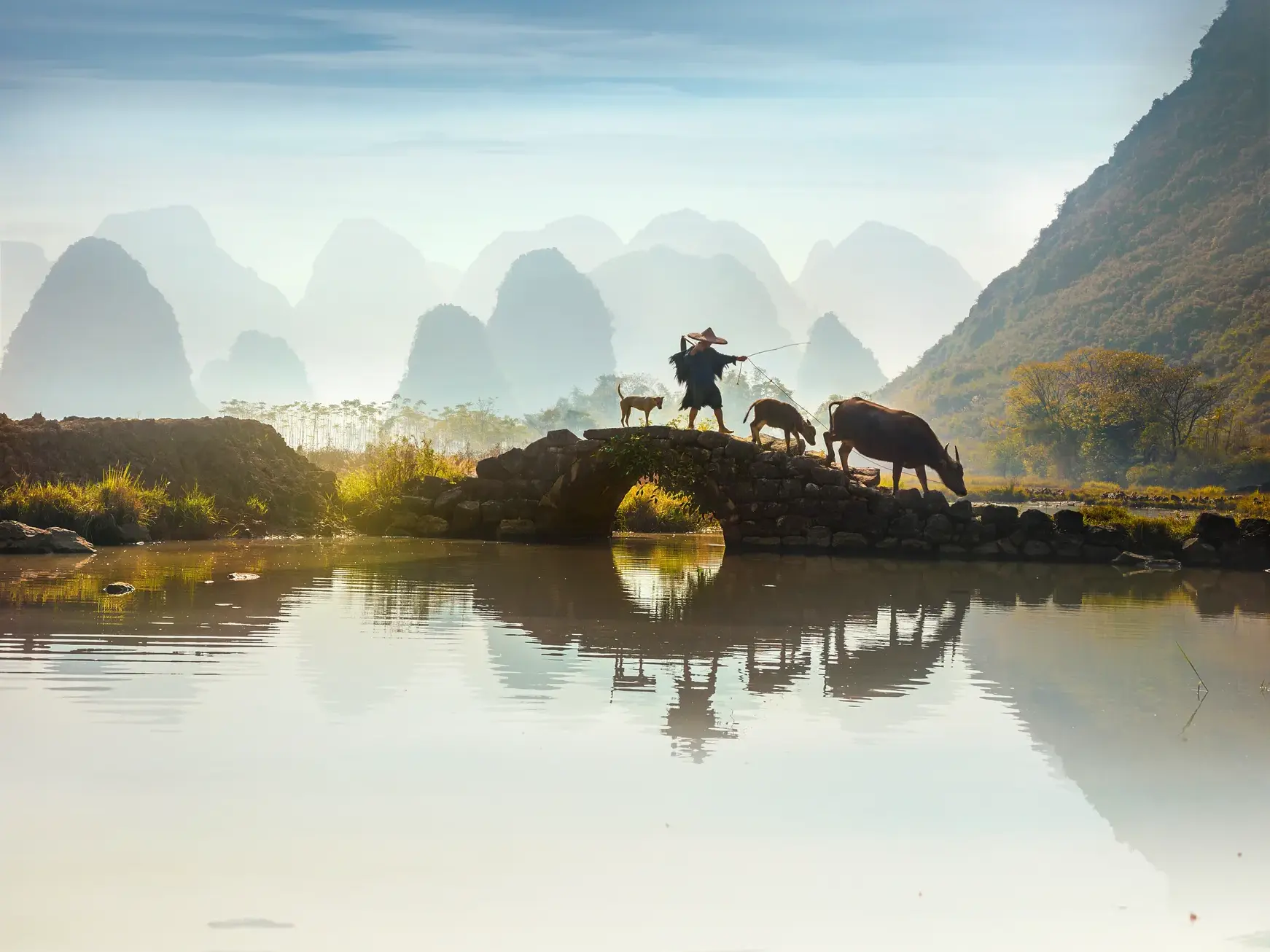 Einheimischer führt Wasserbüffel über eine Steinbrücke, im Hintergrund die neblige Karstlandschaft am Li-Fluss in China.
