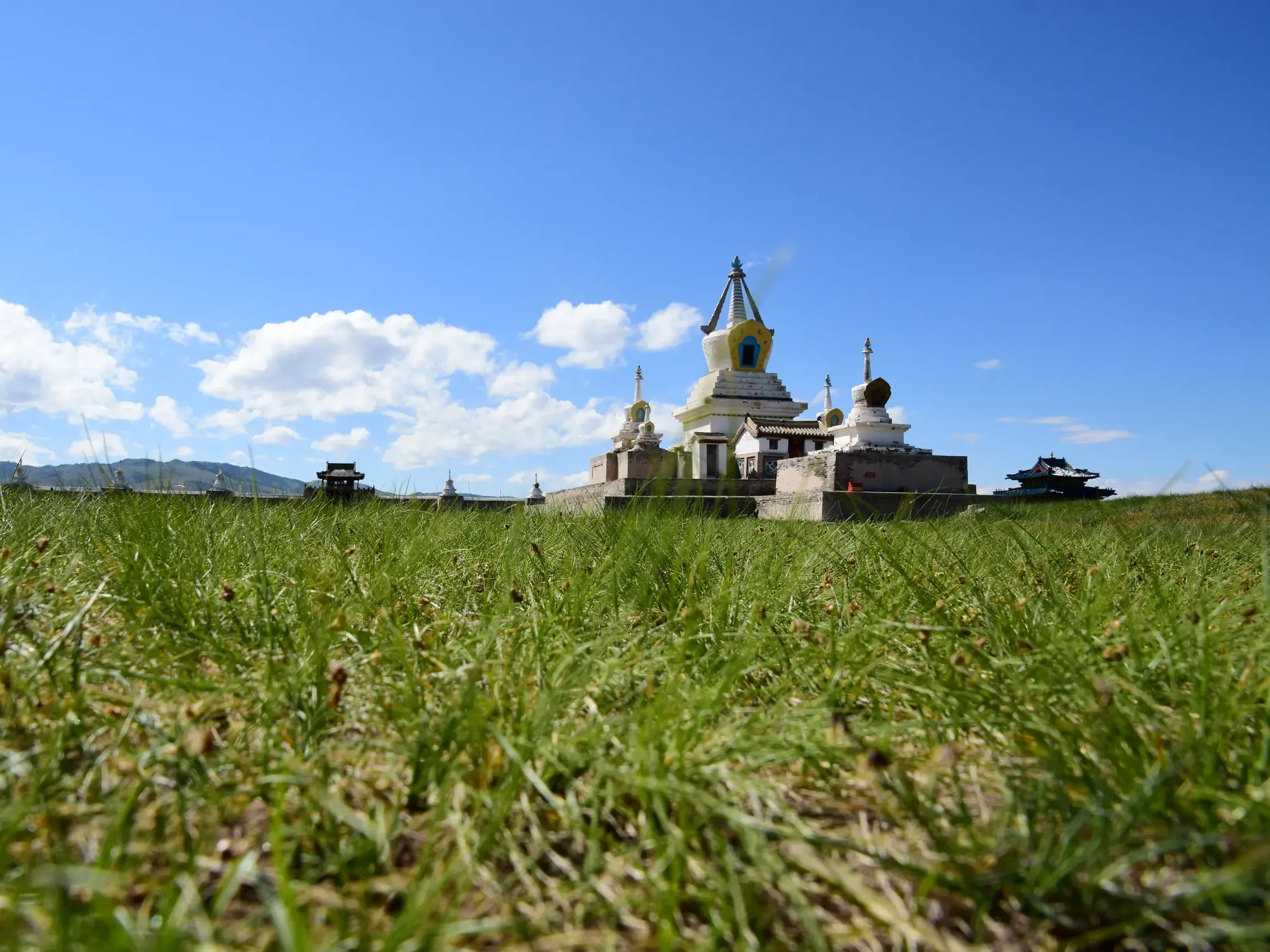 Blick aus der Froschperspektive durch grünes Gras auf das historische Kloster Erdene Zuu in Karakorum, Mongolei, bei Sonnenschein.