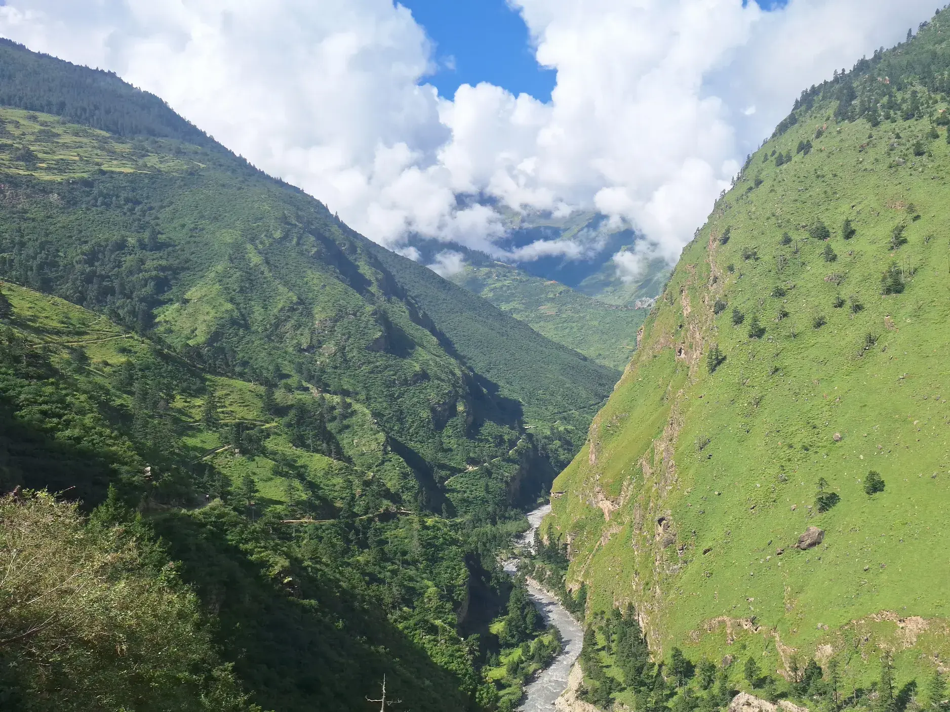 Aussicht beim Trekking in Nepal: Ein Fluss schlängelt sich durch ein tiefes, grünes Tal in der Dolpo-Region unter blauem Himmel.