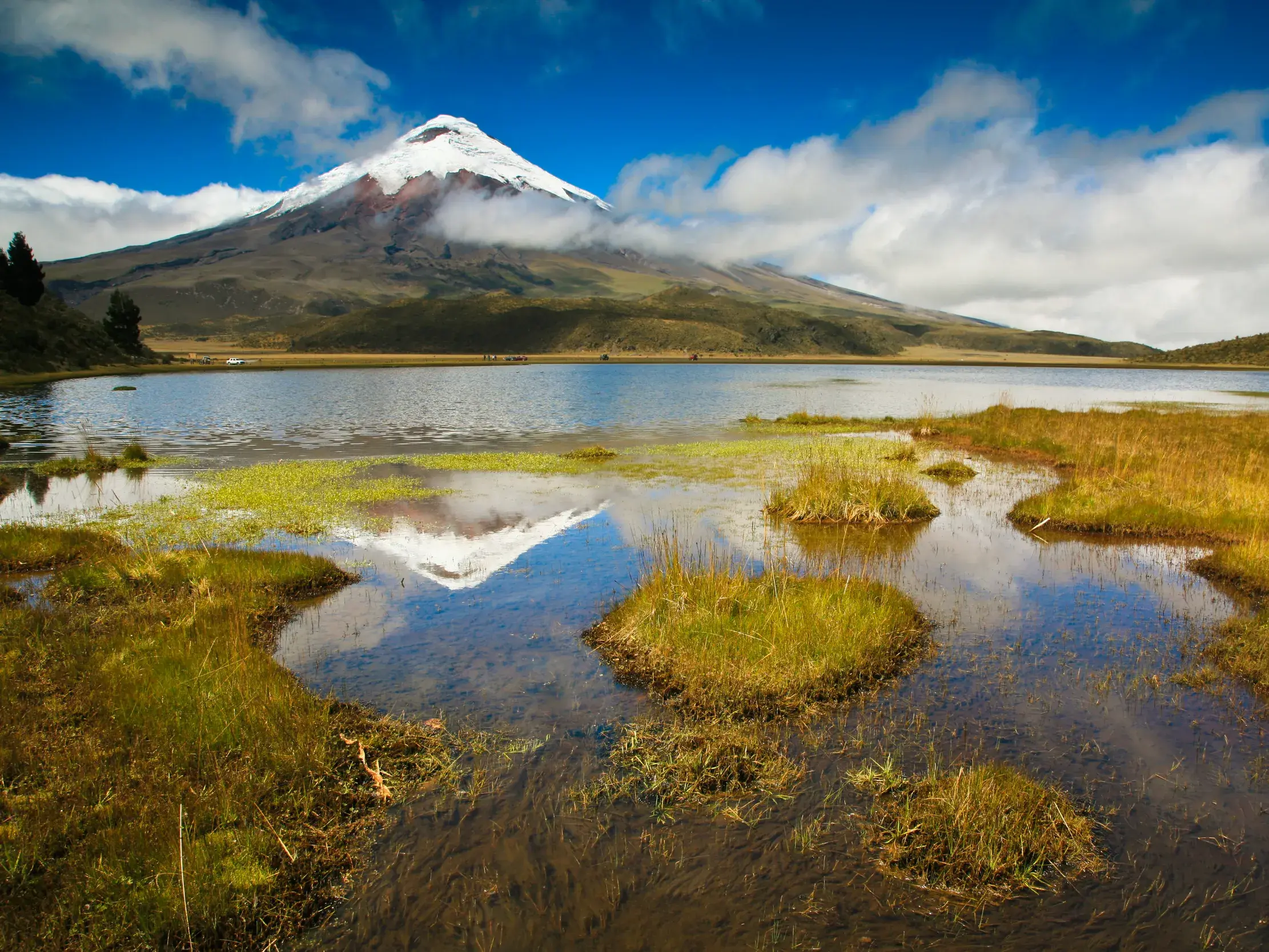 Der schneebedeckte Gipfel des Vulkans Cotopaxi spiegelt sich im ruhigen Wasser der Lagune von Limpiopungo in Ecuador.