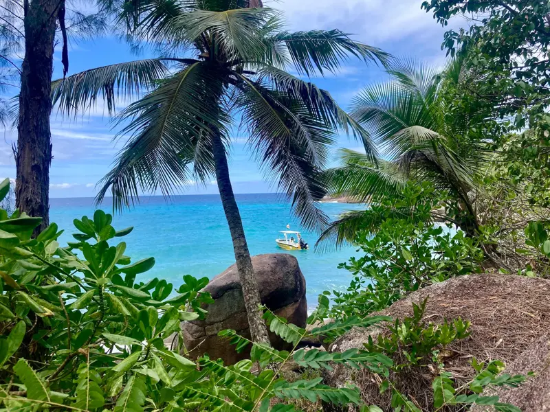 Ausblick von einem Küstenpfad auf den Seychellen: Palmen und Granitfelsen rahmen eine Bucht mit türkisfarbenem Meer und Boot.