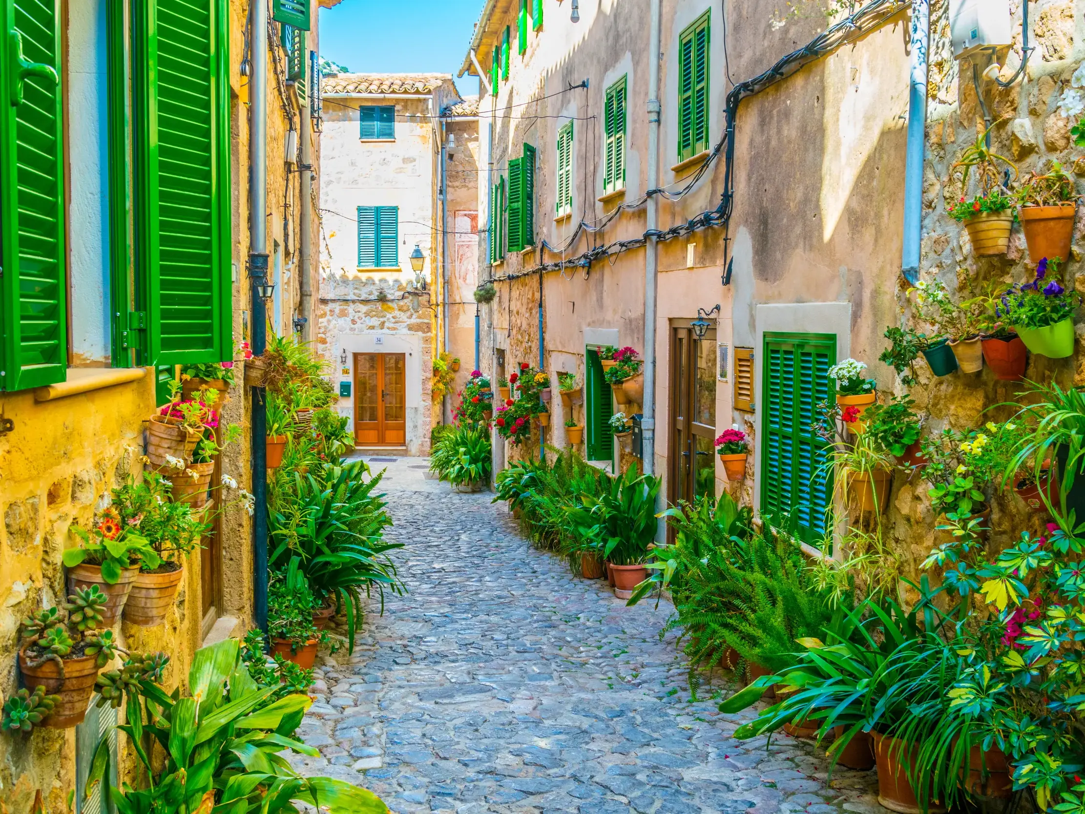 Sonnige, enge Gasse in Valldemossa auf Mallorca mit Kopfsteinpflaster, vielen Topfpflanzen und Steinhäusern mit grünen Läden.