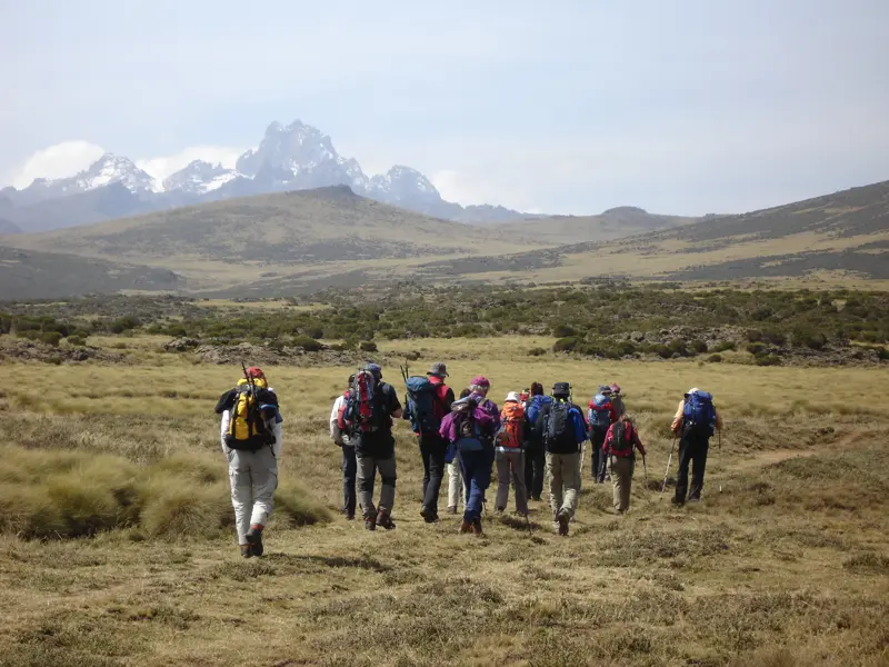 Eine Hauser-Wandergruppe mit Rucksäcken wandert durch eine weite Hochebene auf das schneebedeckte Mount-Kenya-Massiv zu.