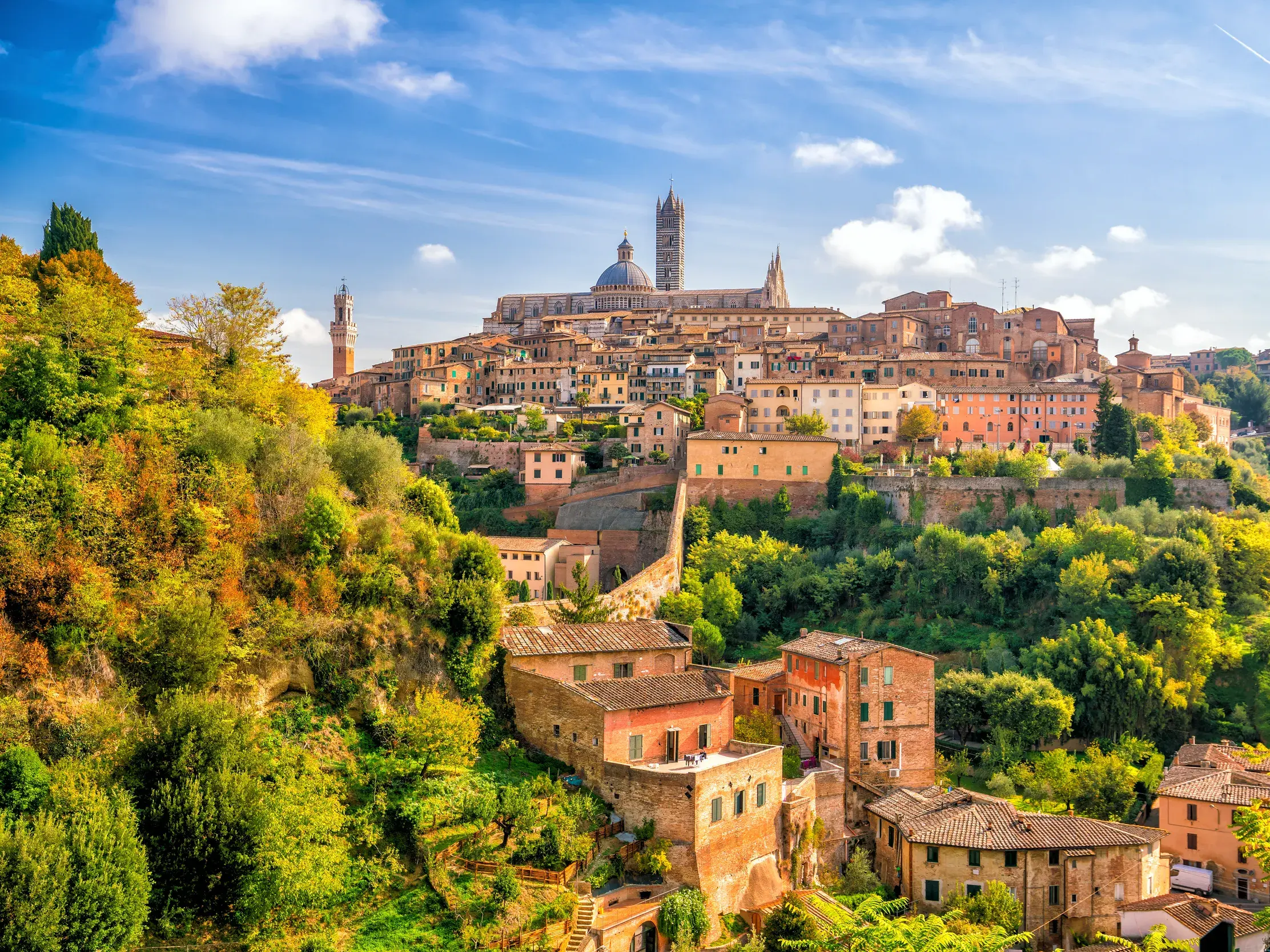 Panoramablick auf die mittelalterliche Stadt Siena in der Toskana mit ihrem Dom, umgeben von grünen Hügeln an einem sonnigen Tag.