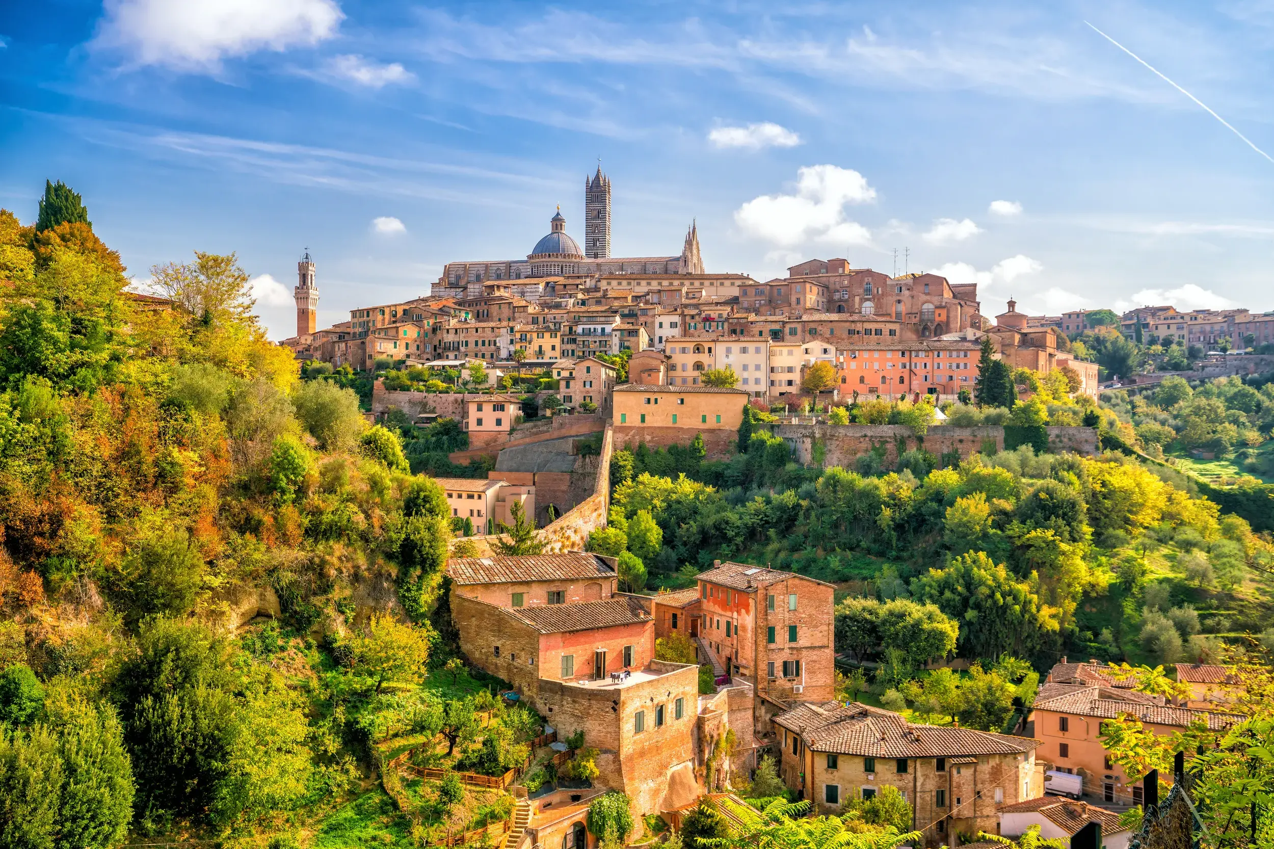 Panoramablick auf die mittelalterliche Stadt Siena in der Toskana mit ihrem Dom, umgeben von grünen Hügeln an einem sonnigen Tag.