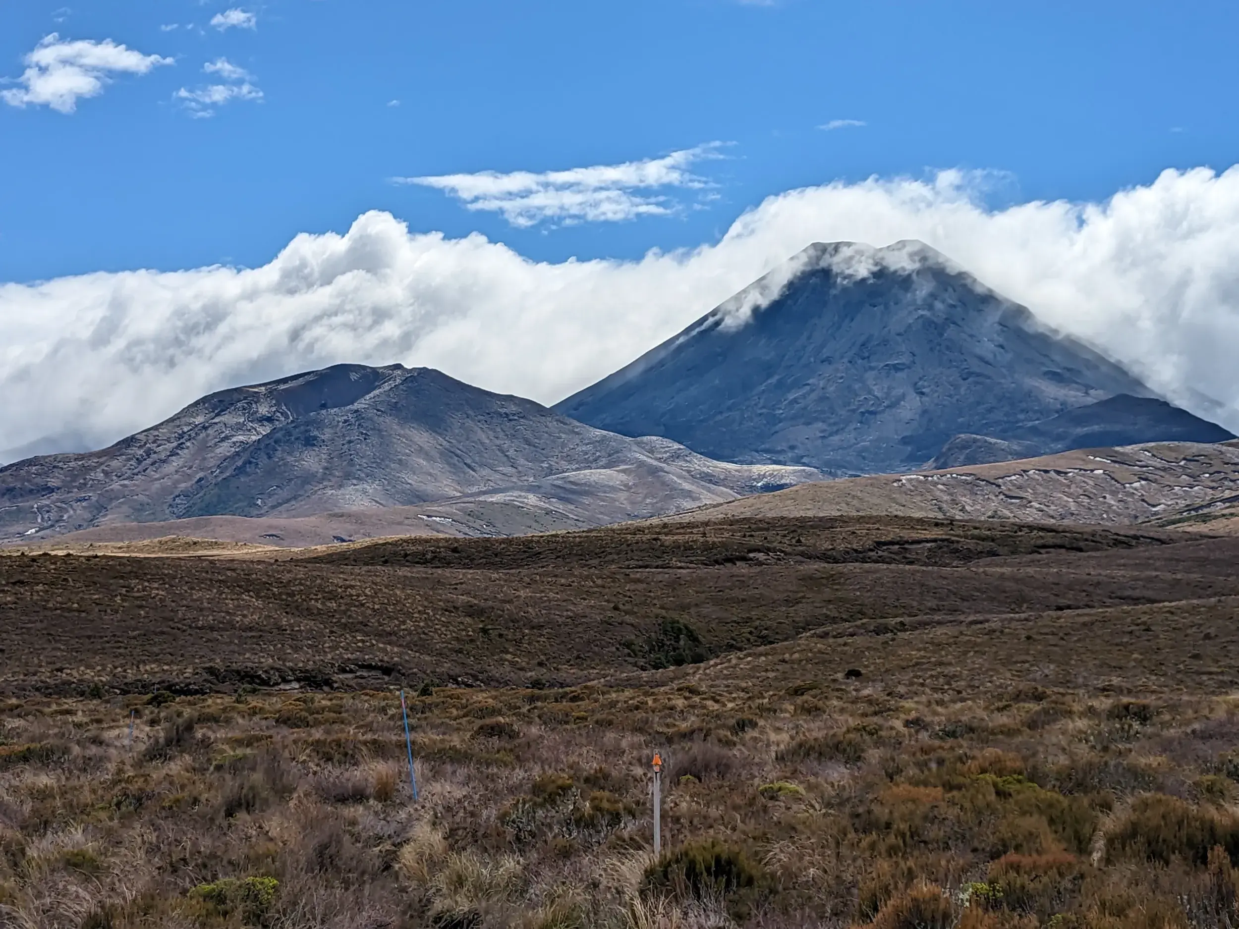 Weite Tussockgras-Landschaft vor den wolkenverhangenen Vulkanen Ngauruhoe und Tongariro während einer Wanderung in Neuseeland.
