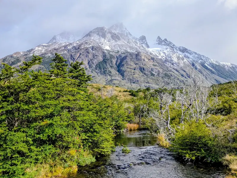 Ein Fluss bahnt sich seinen Weg durch grüne Südbuchenwälder vor der Kulisse der schneebedeckten Anden in Patagonien.