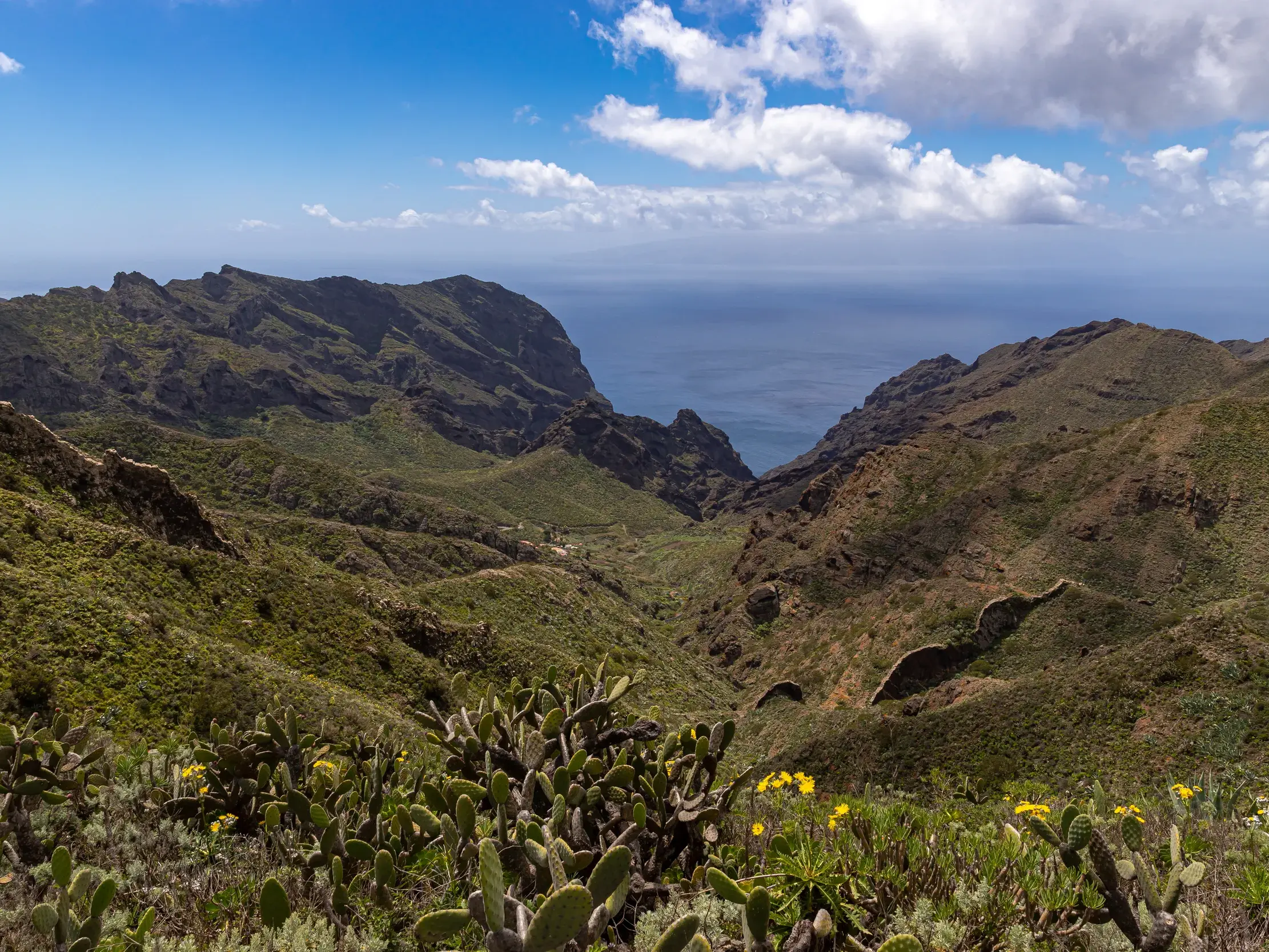 Ausblick beim Wandern im Teno-Gebirge auf Teneriffa über ein grünes Tal mit Kakteen hinab zum Atlantischen Ozean.