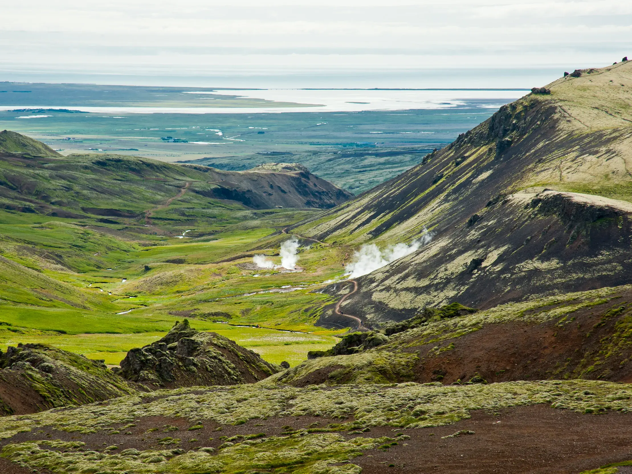Wanderung in Island: Blick über ein weites, grünes Tal mit aufsteigendem Dampf aus geothermalen Quellen und der Küste im Hintergrund.