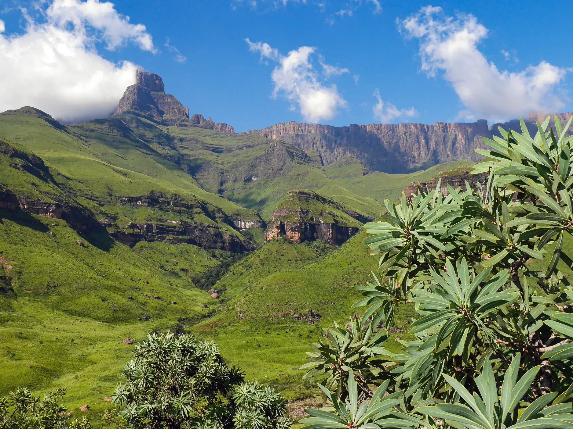 Üppig grüne Berglandschaft im Royal-Natal-Nationalpark mit Blick auf das Amphitheater der Drakensberge in Südafrika.