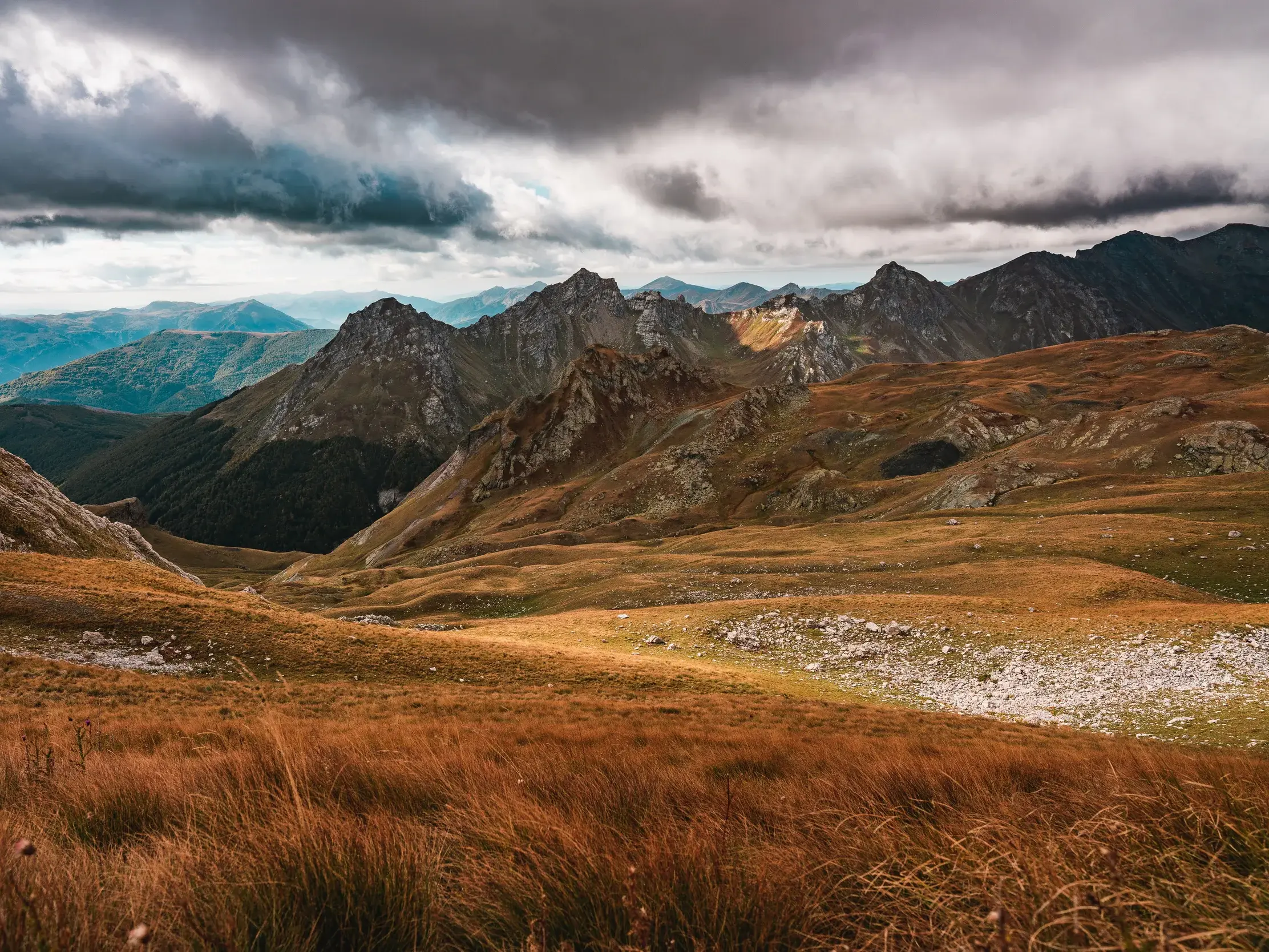 Panoramablick beim Trekking über goldbraune Wiesen zu den schroffen Gipfeln des Korab-Koritnik Naturparks in Albanien.