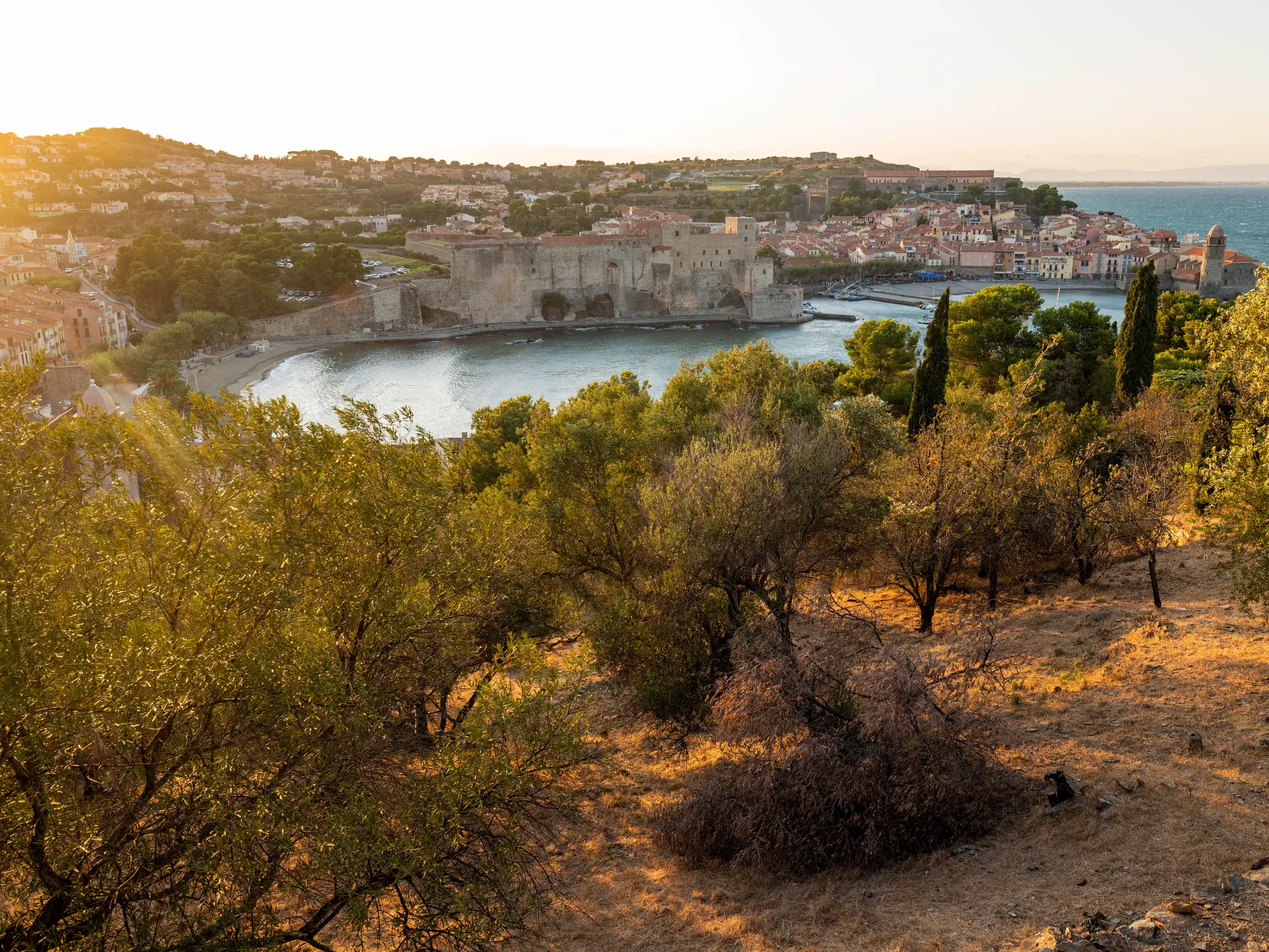 Malerischer Blick auf die Bucht und die Altstadt von Collioure in Okzitanien, von der Abendsonne in goldenes Licht getaucht.