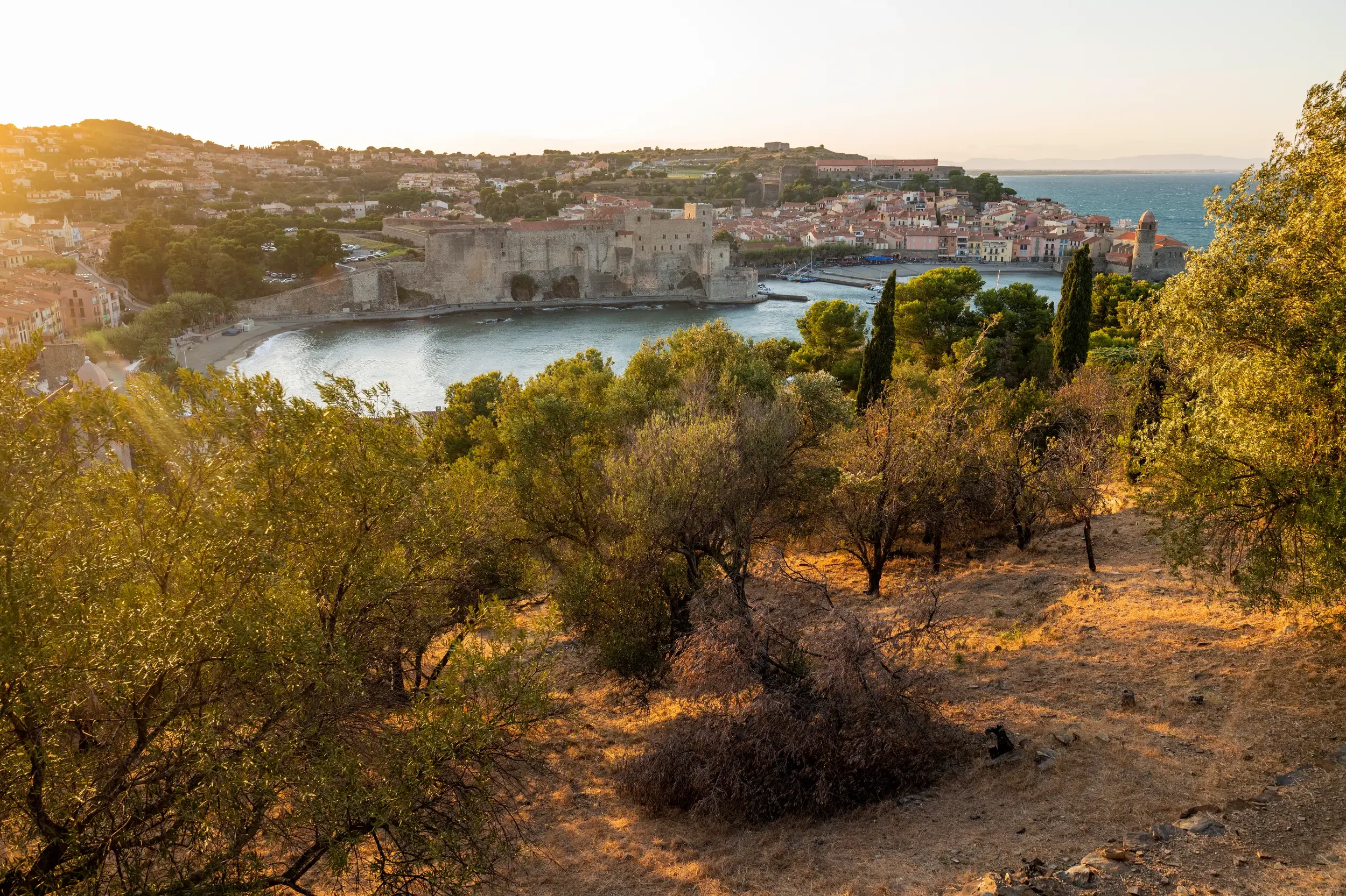 Malerischer Blick auf die Bucht und die Altstadt von Collioure in Okzitanien, von der Abendsonne in goldenes Licht getaucht.