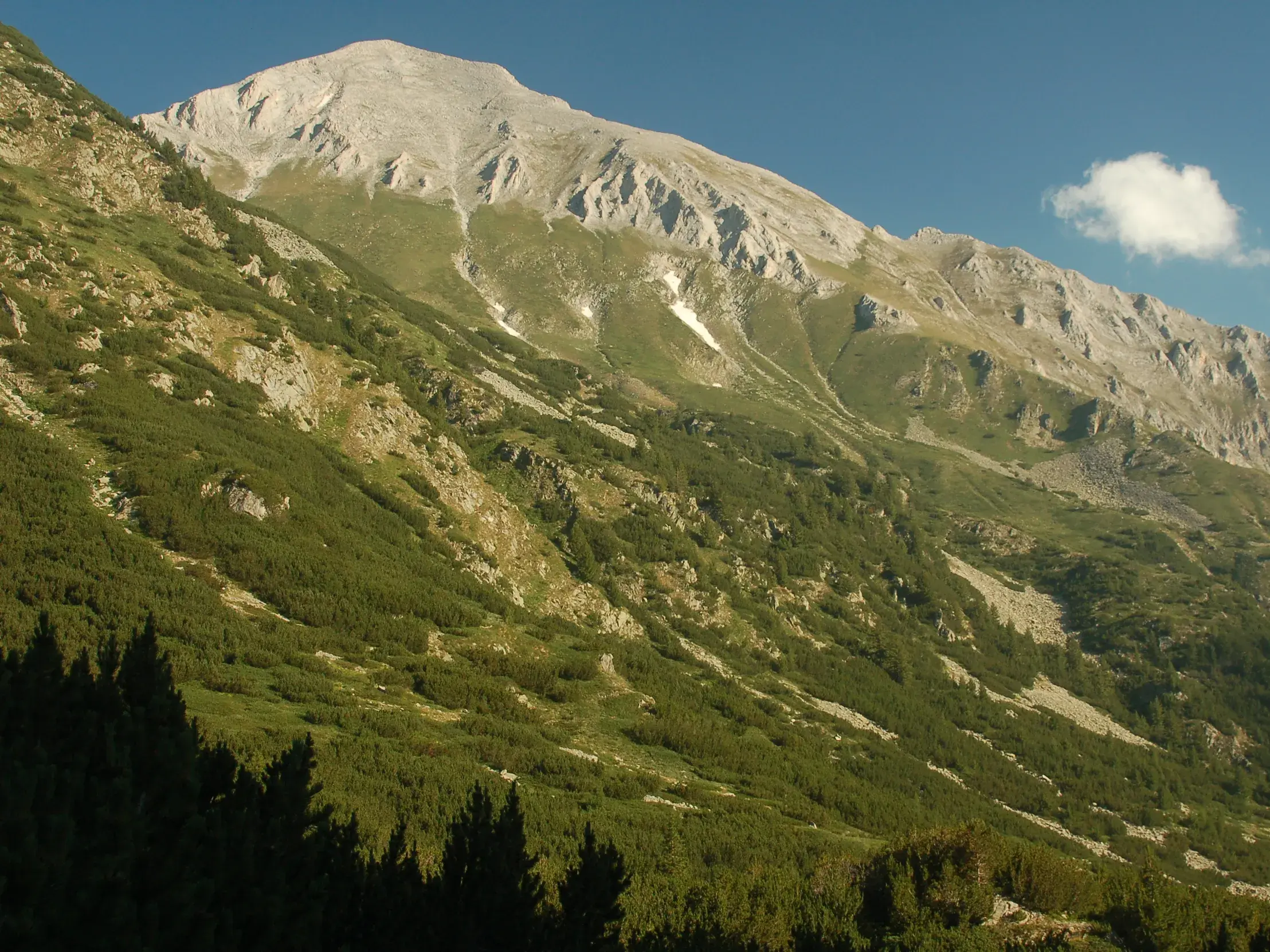 Der helle, felsige Gipfel des Wichren im Pirin-Gebirge ragt bei blauem Himmel über grüne, bewaldete Berghänge in Bulgarien.