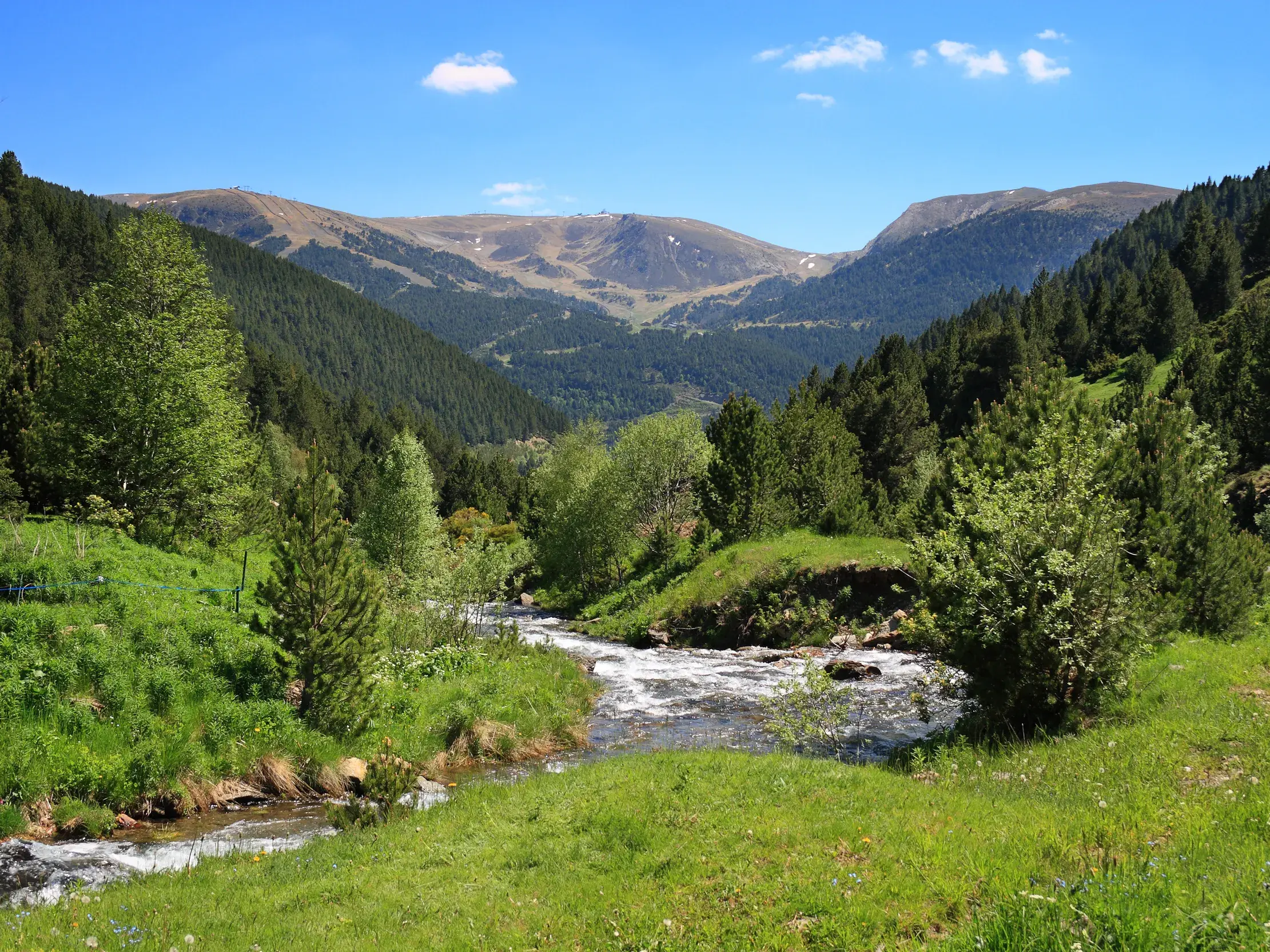 Ein Wildbach schlängelt sich durch grüne Wiesen im Inclés-Tal in Andorra, im Hintergrund die bewaldeten Berge der Pyrenäen.