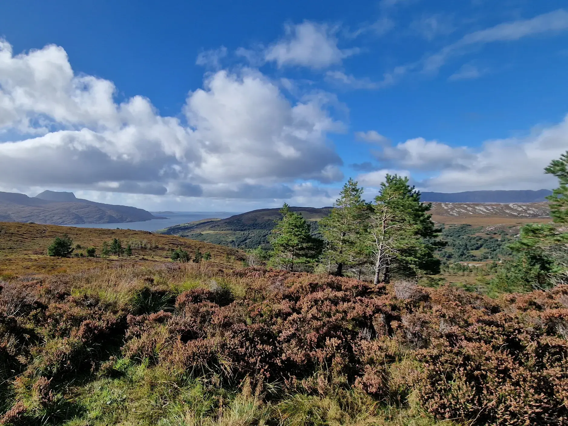Blick vom Ullapool Hill über die Heidelandschaft von Wester Ross auf den Fjord Loch Broom und die fernen Summer Isles.