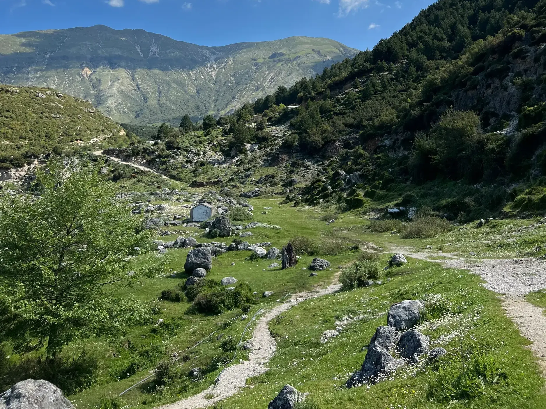 Ein schmaler Hirtenpfad schlängelt sich durch das grüne, felsige Shushica-Tal auf einer Trekkingreise in Albanien.