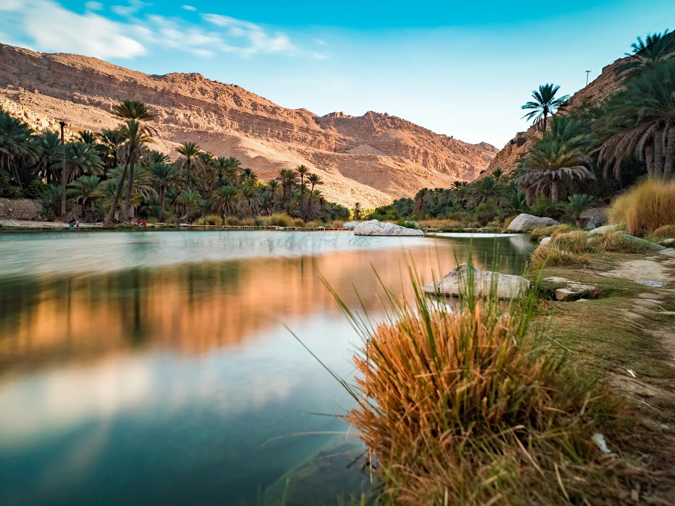 Spiegelglattes, klares Wasser im Wadi Bani Khalid, umgeben von einem Palmenhain vor der Felskulisse des Hadschargebirges.
