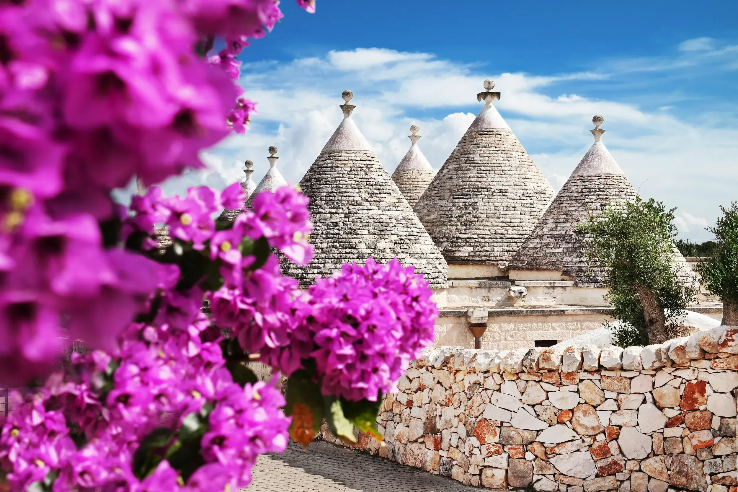 Die typischen Kegeldächer der Trulli in Alberobello, gerahmt von leuchtend pinken Blüten an einem sonnigen Tag in Apulien.