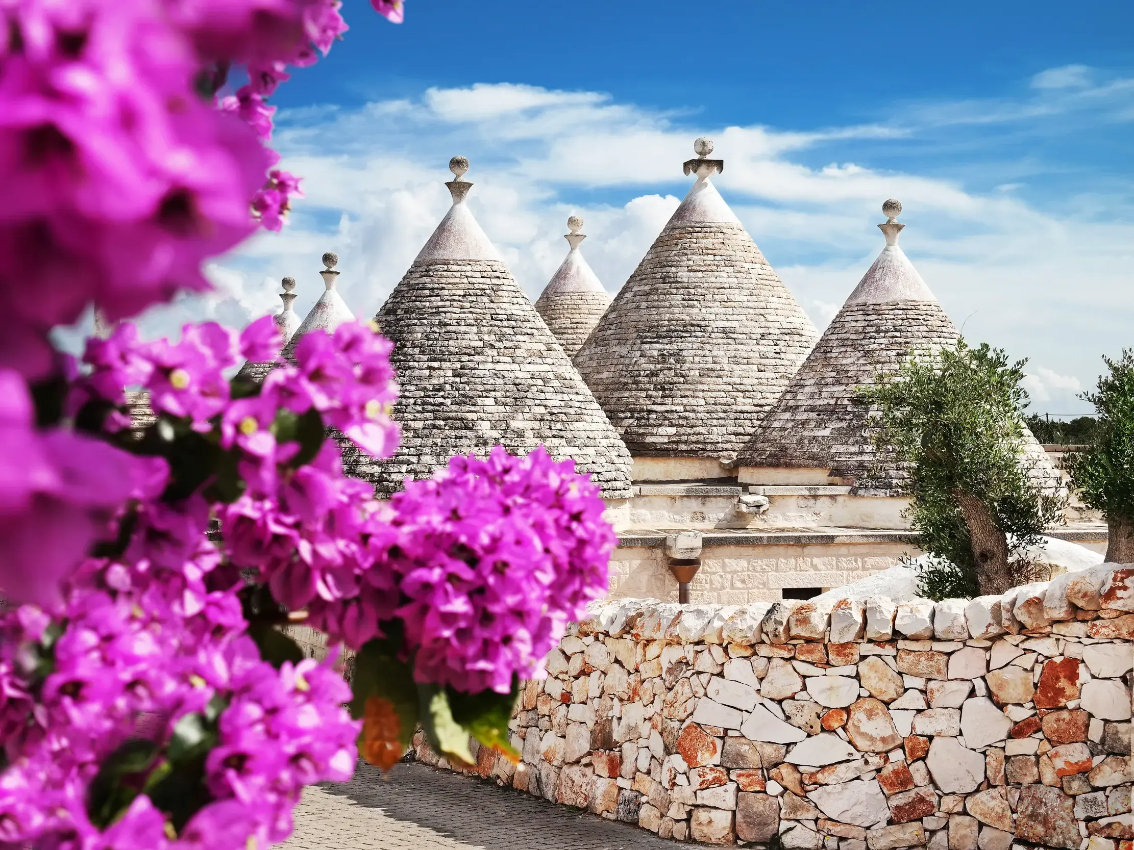 Kegelförmige Steindächer der Trulli in Alberobello, umrahmt von blühenden lila Bougainvillea an einem sonnigen Tag in Apulien.