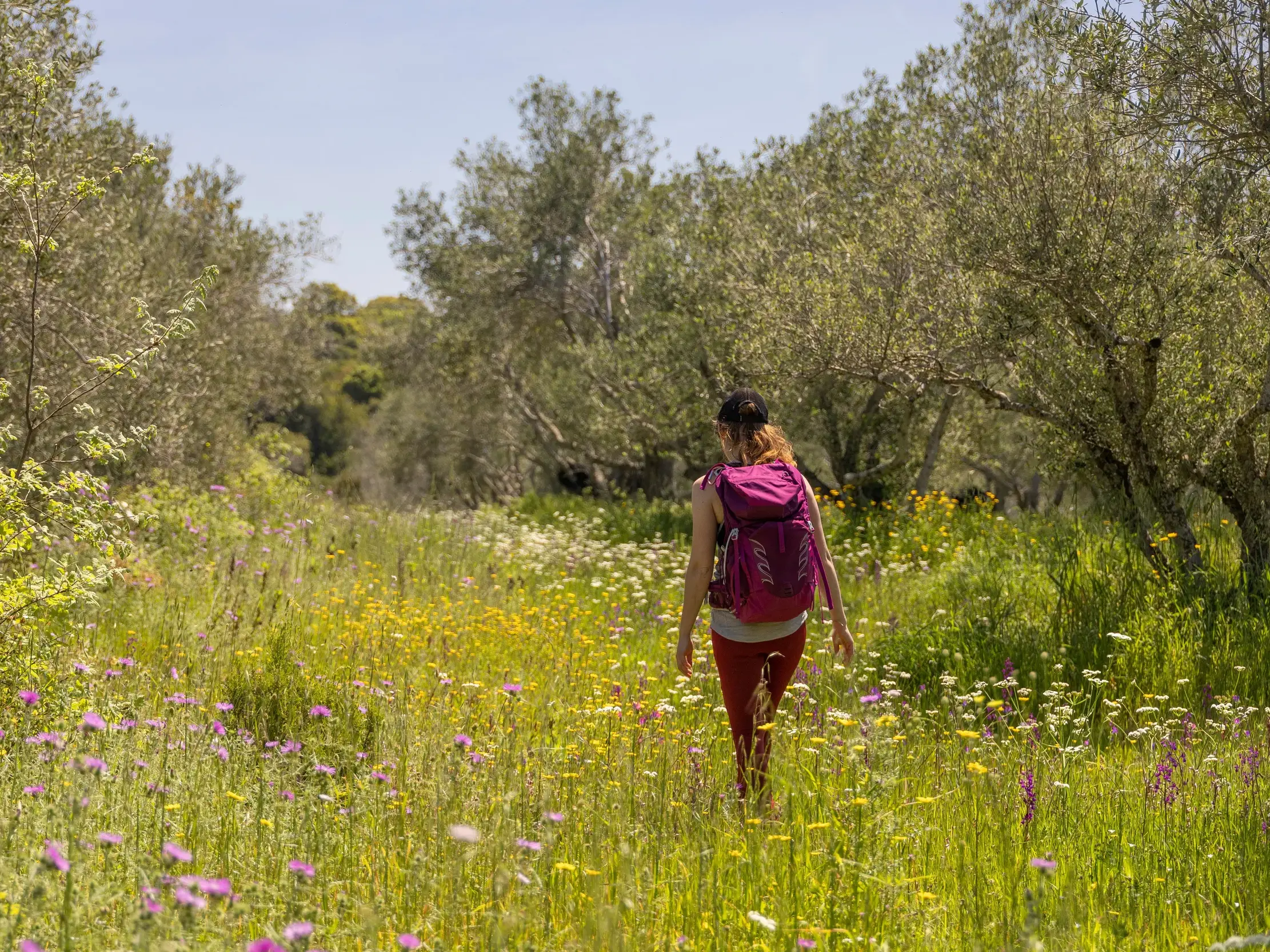 Eine Frau mit Trekkingrucksack wandert auf dem Korfu-Trail durch eine sonnige Wiese mit bunten Wildblumen und Olivenhainen.