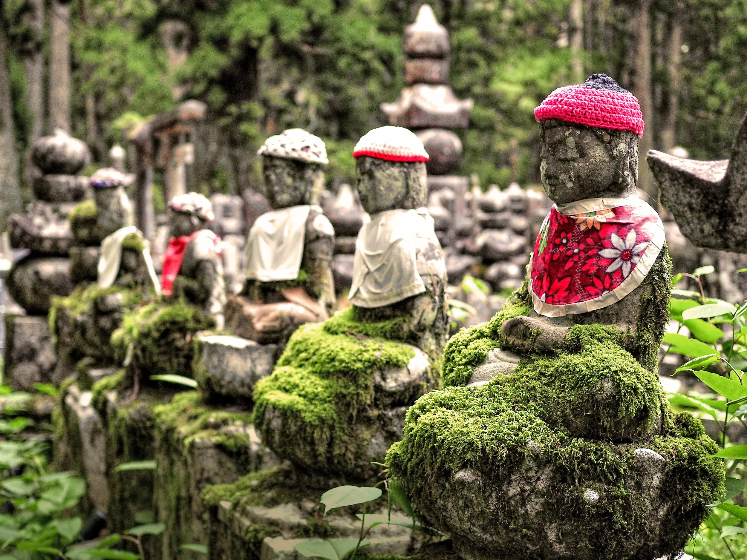 Eine Reihe moosbedeckter Jizo-Statuen mit bunten, handgemachten Mützen in einer spirituellen Tempelanlage in Japan.