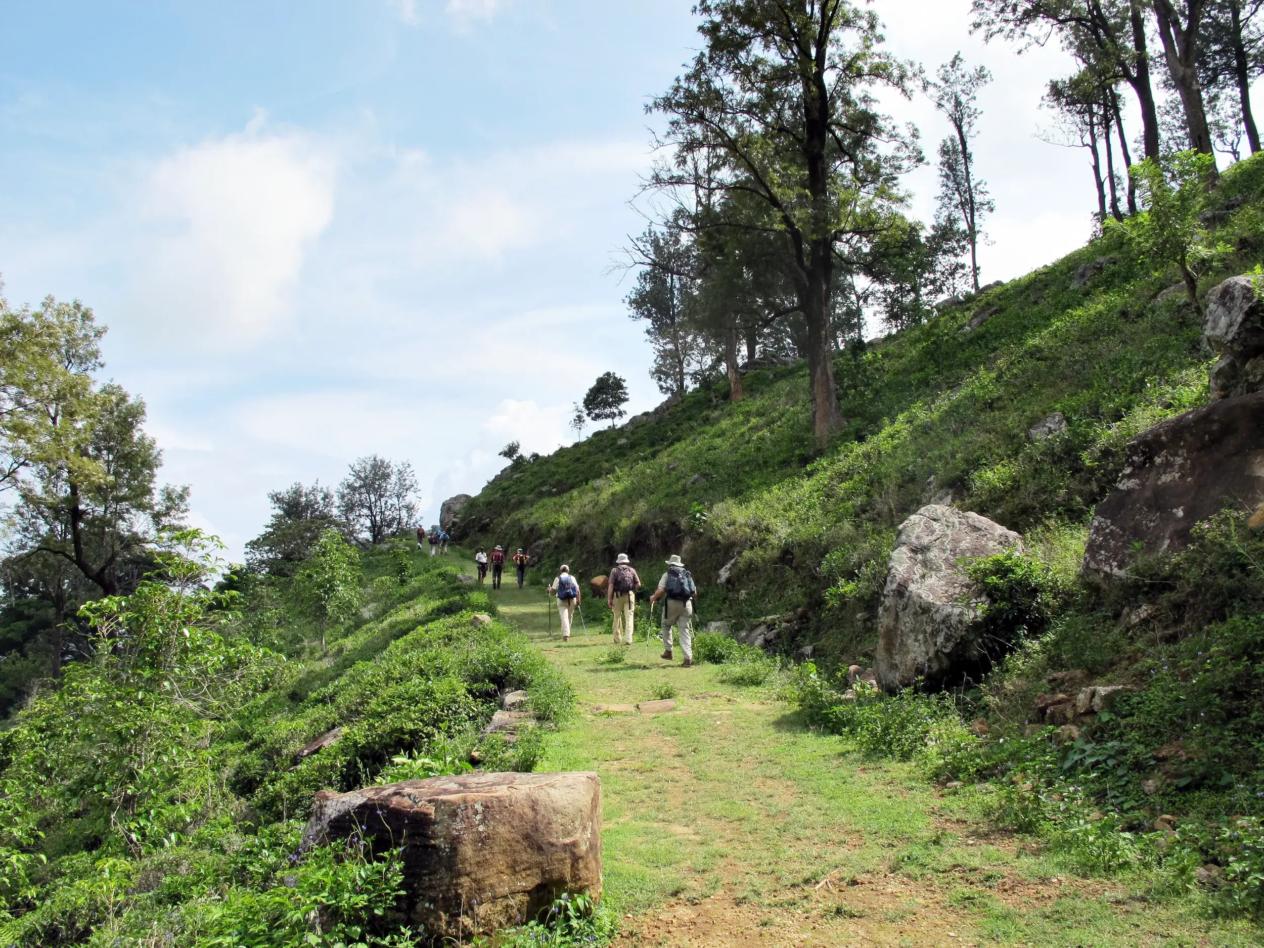 Hauser-Wandergruppe auf einem Trekkingpfad durch das üppig grüne, hügelige Hochland der Knuckles Range in Sri Lanka.