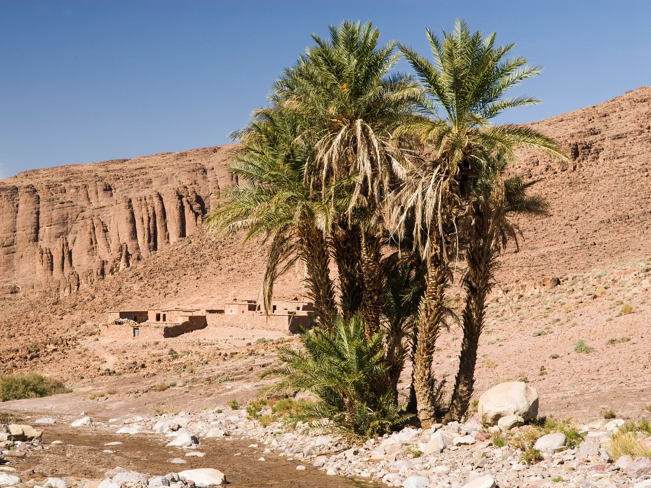 Eine kleine Oase mit Palmen und einem Lehmdorf in der kargen, roten Felslandschaft des Djebel Saghro Gebirges in Marokko.