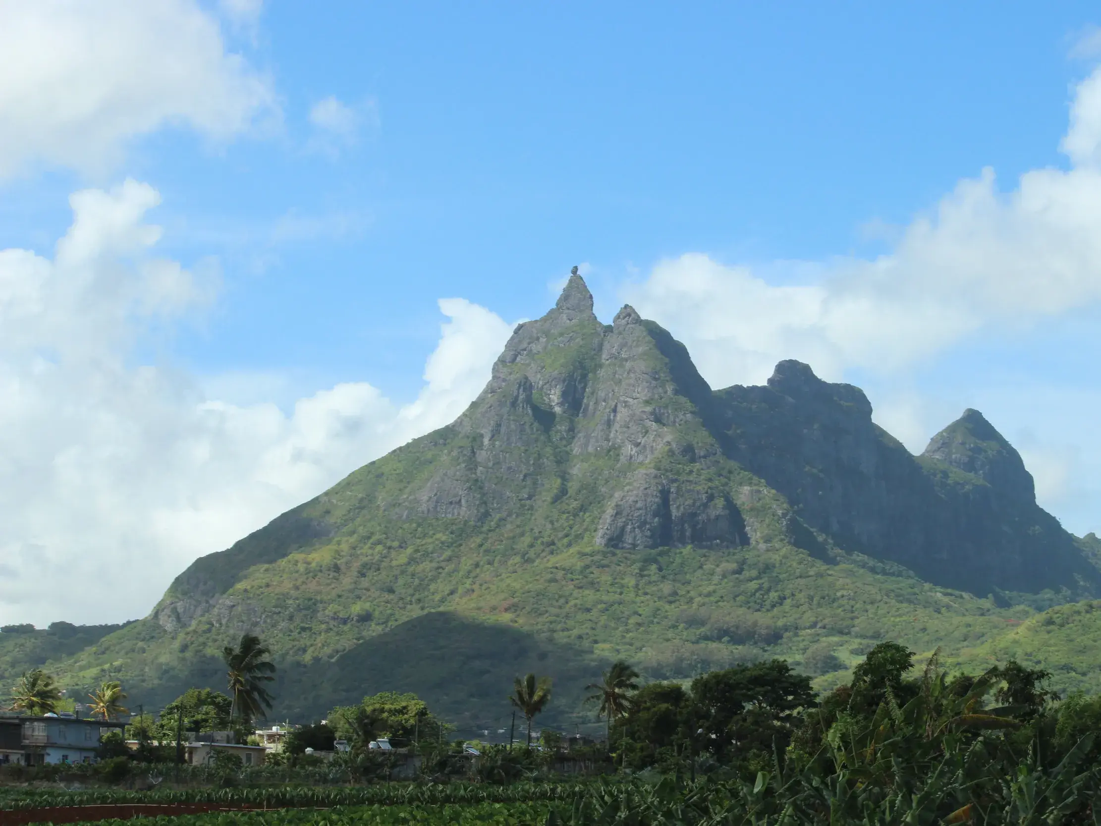 Der markante Berg Le Pouce auf Mauritius mit seiner daumenförmigen Spitze, umgeben von tropischer Vegetation unter blauem Himmel.