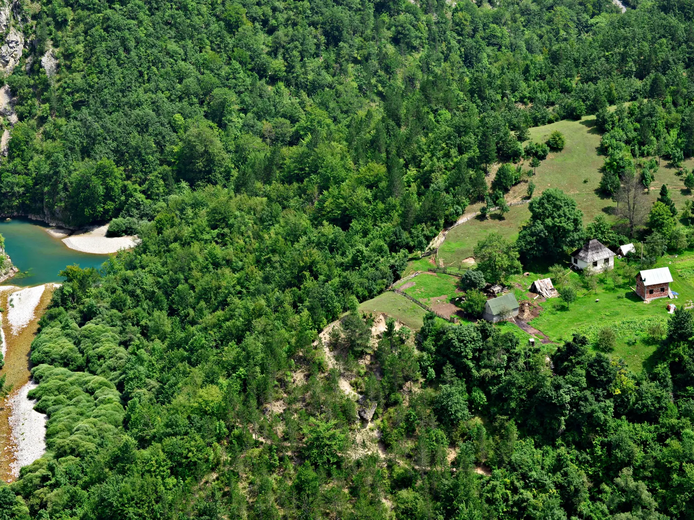 Luftaufnahme der Tara-Schlucht mit türkisem Wasser und einem kleinen Bergbauernhof, umgeben von dichten, grünen Wäldern.