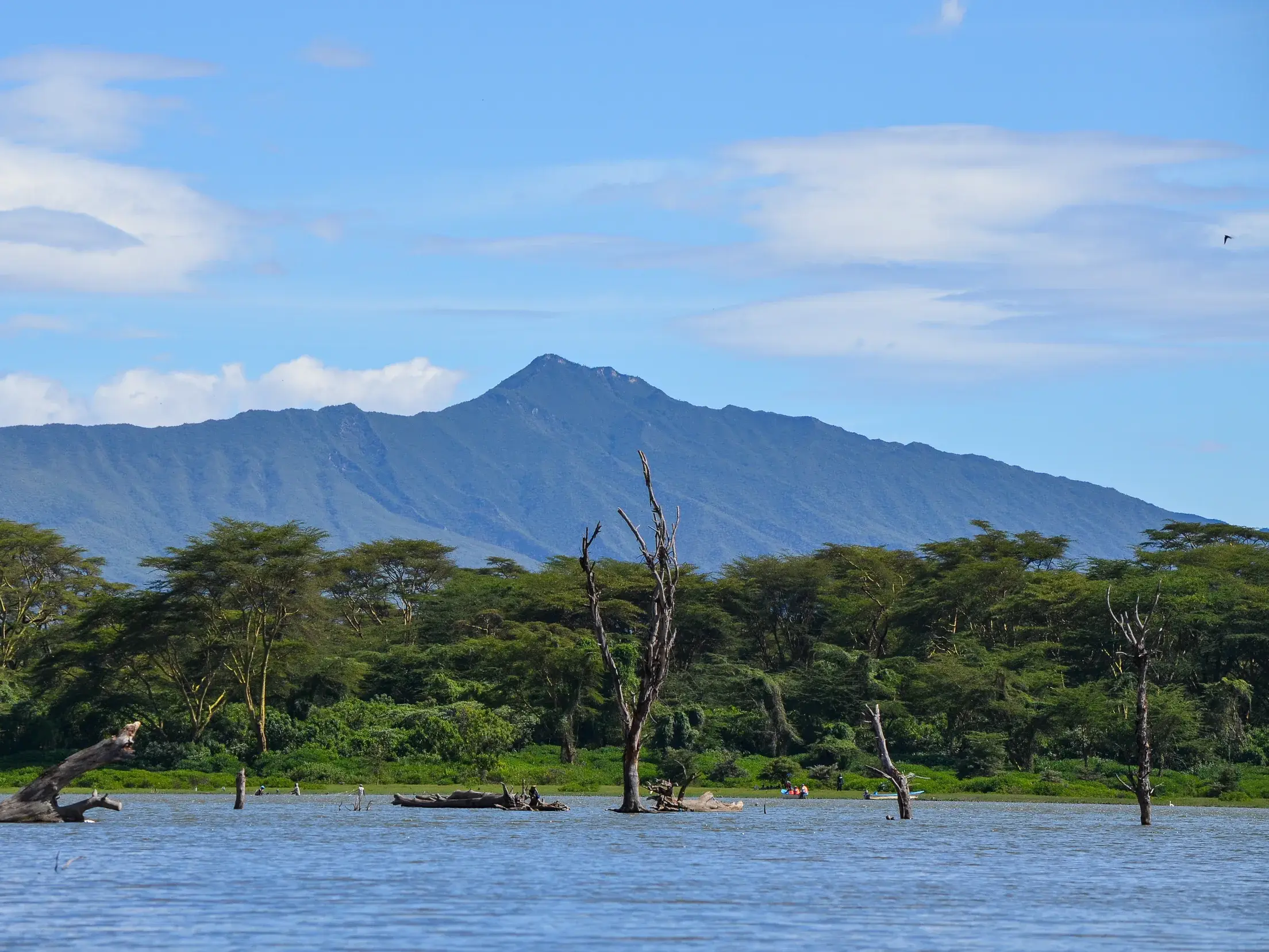 Weite Aussicht über den Lake Naivasha mit Akazienbäumen am Ufer.